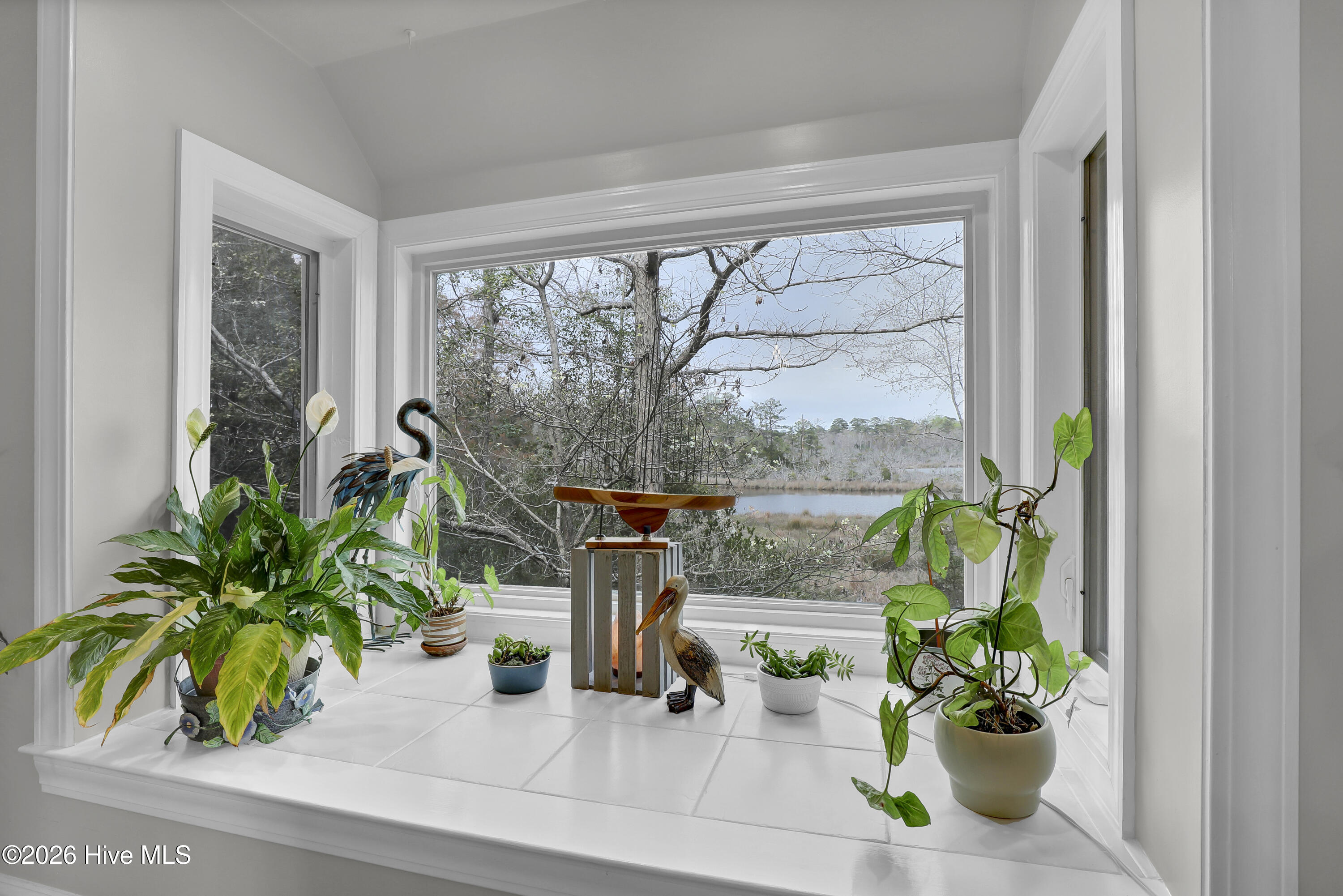 100563243 | Photo 15