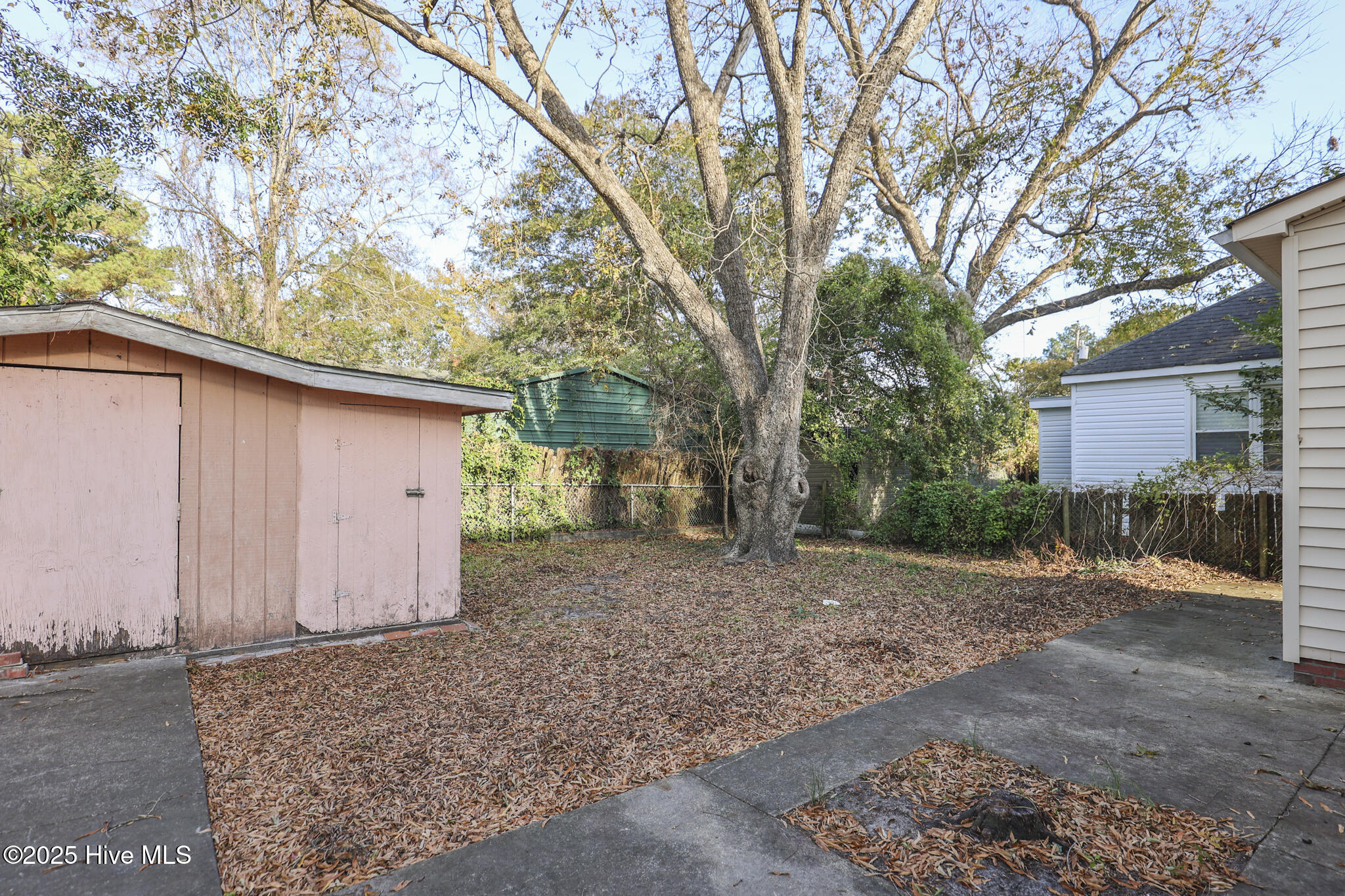 100542091 | Photo 42