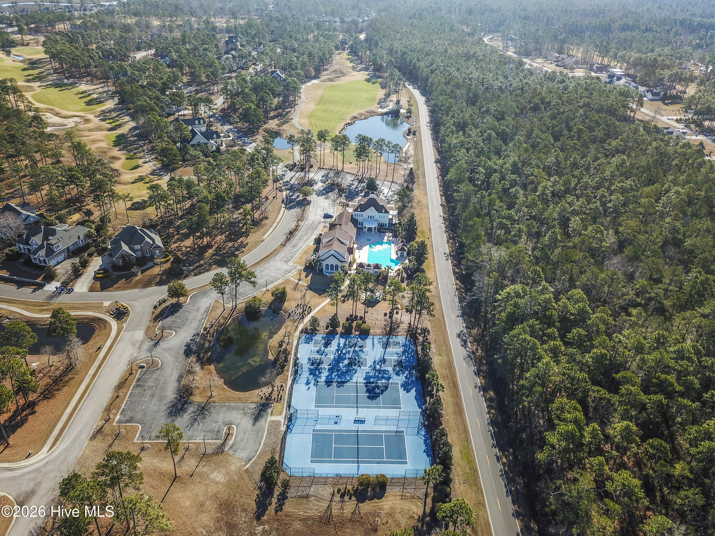 100556078 | Photo 98