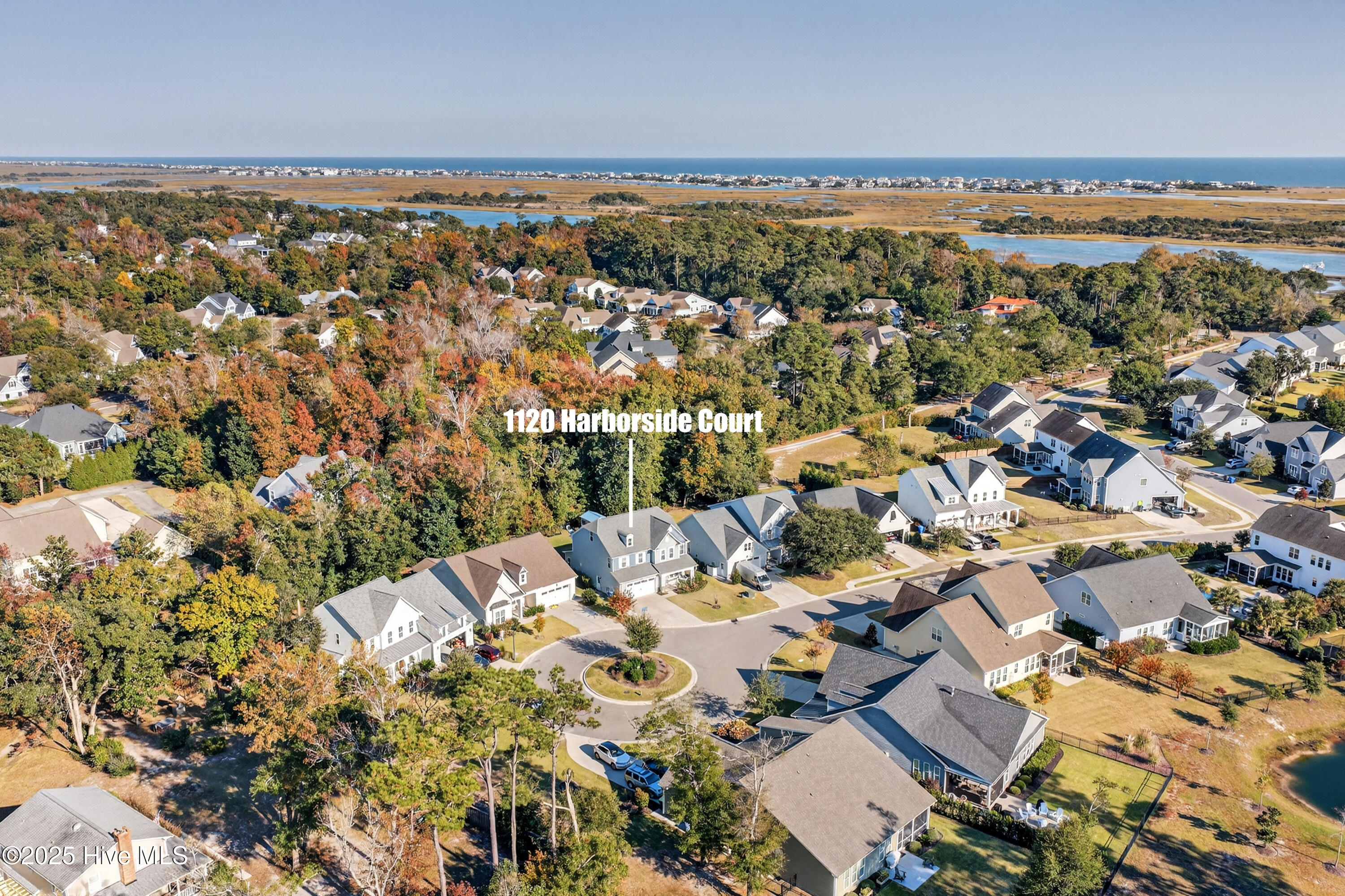 100540063 | Photo 50