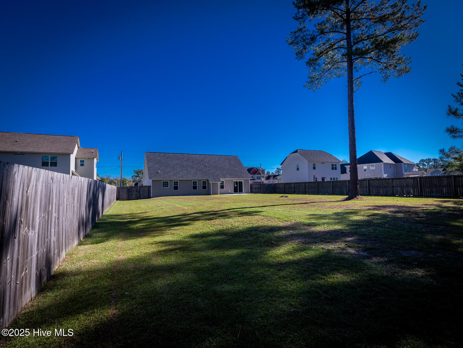 100539425 | Photo 31