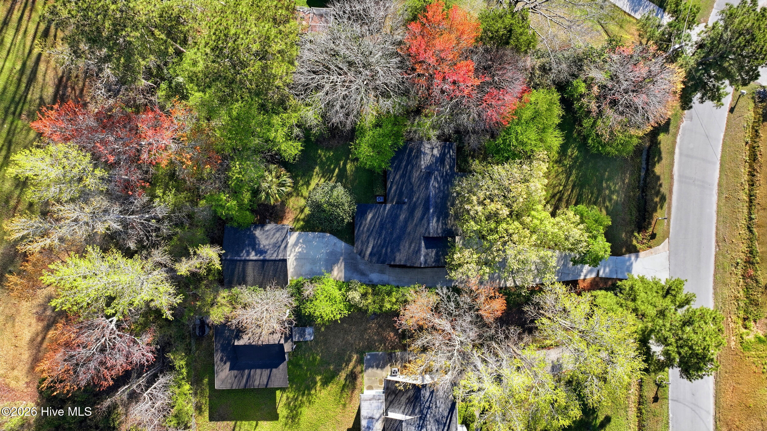 100562440 | Photo 38