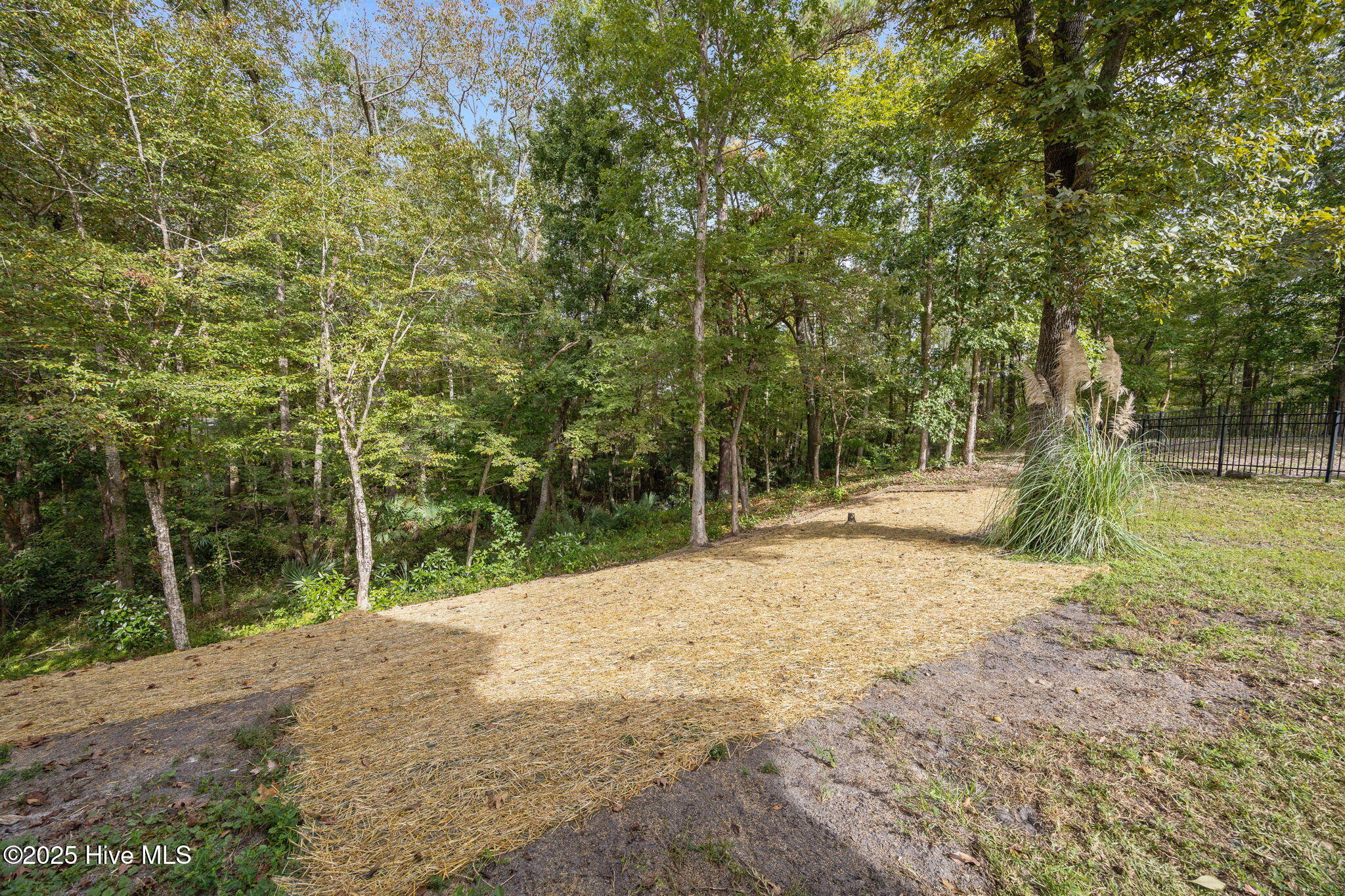 100535538 | Photo 38