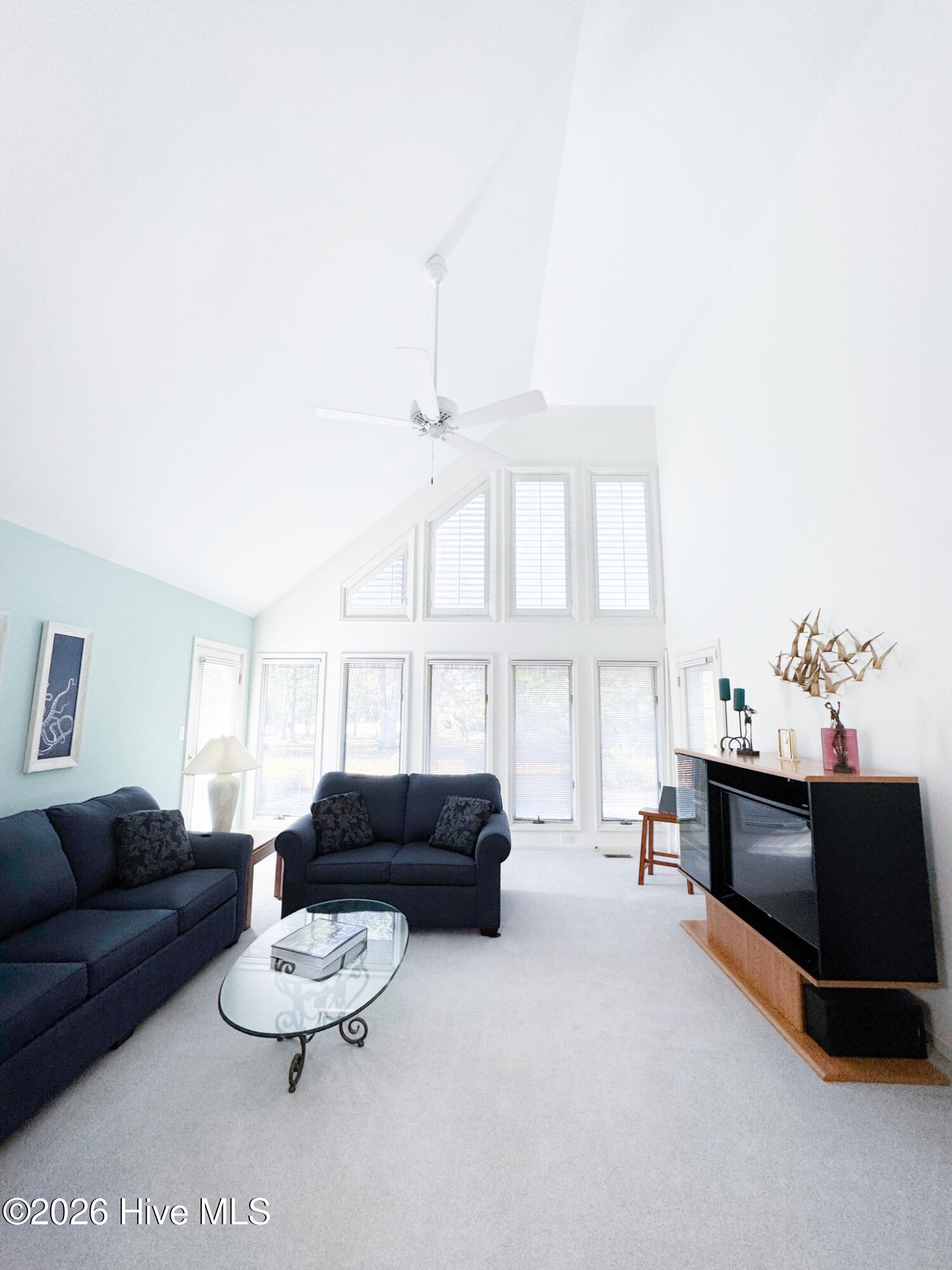 100547125 | Photo 10