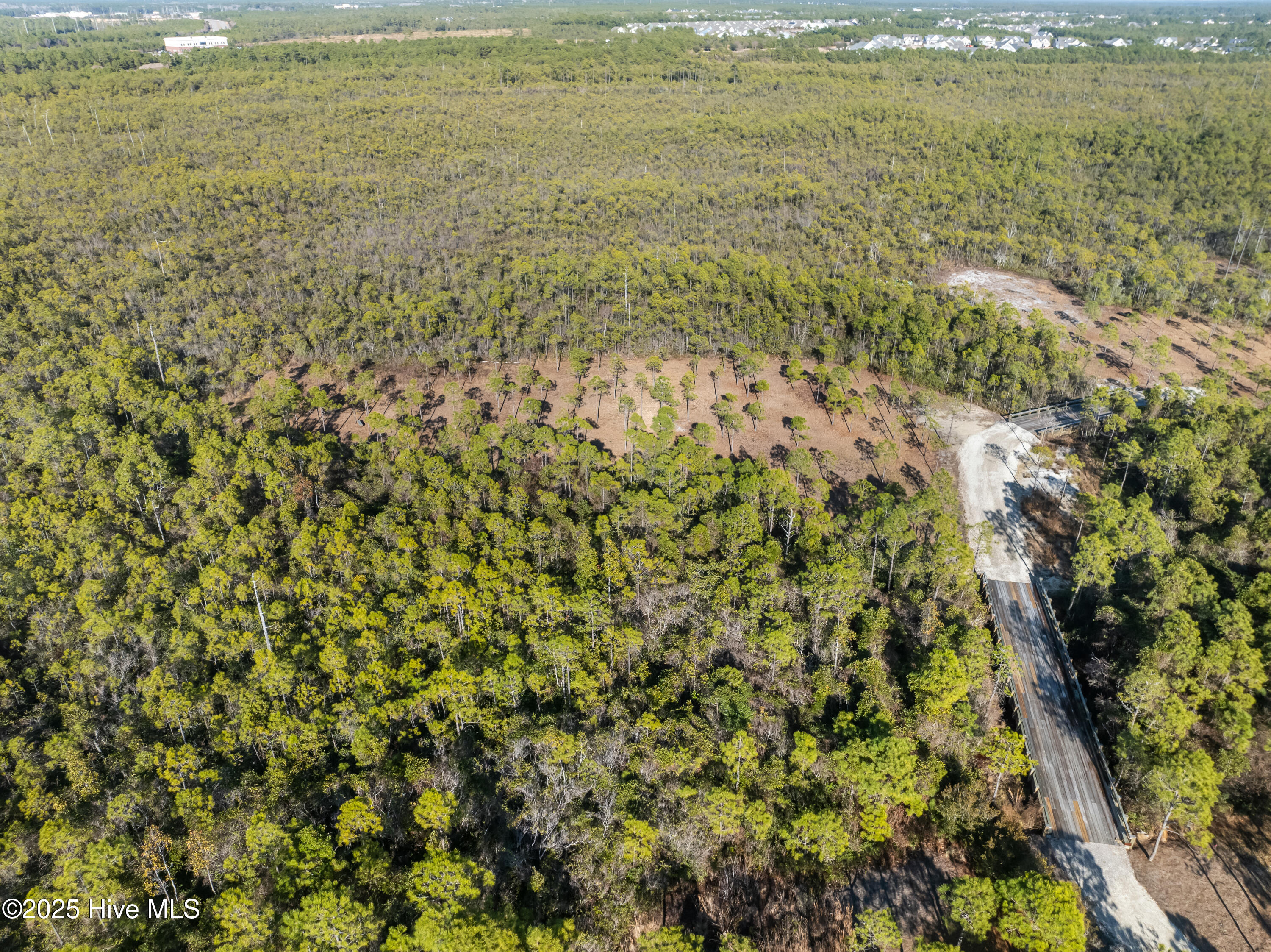 100490322 | Photo 18