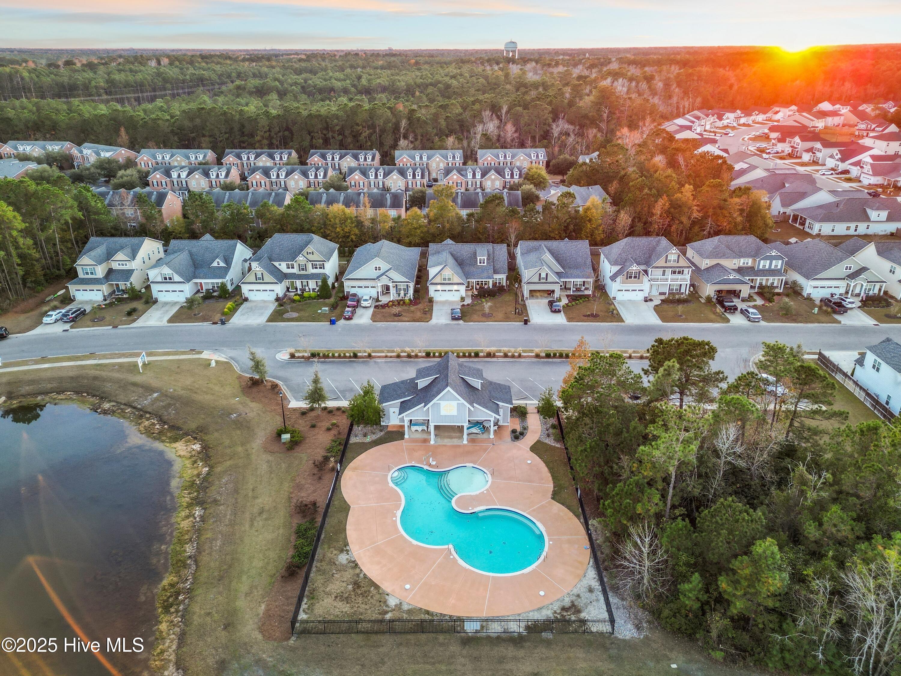 100539123 | Photo 56