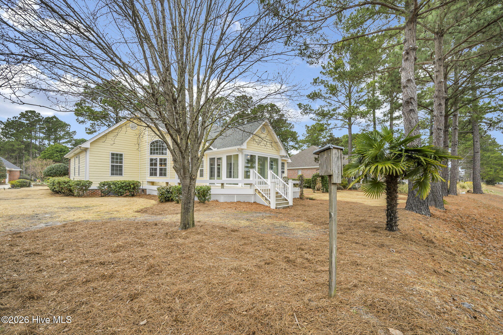 100557033 | Photo 37