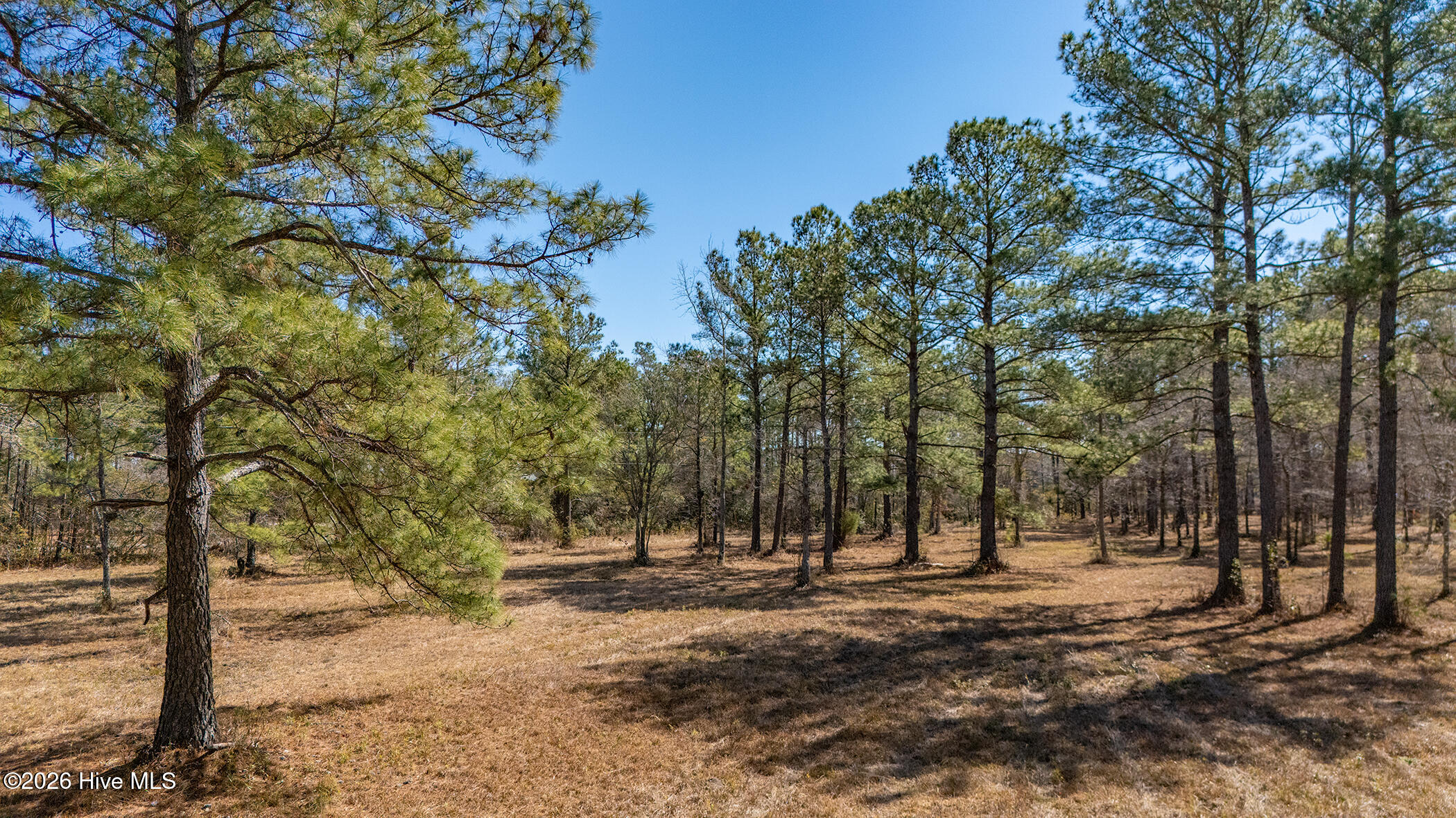 670 Joyner Drive,Havelock