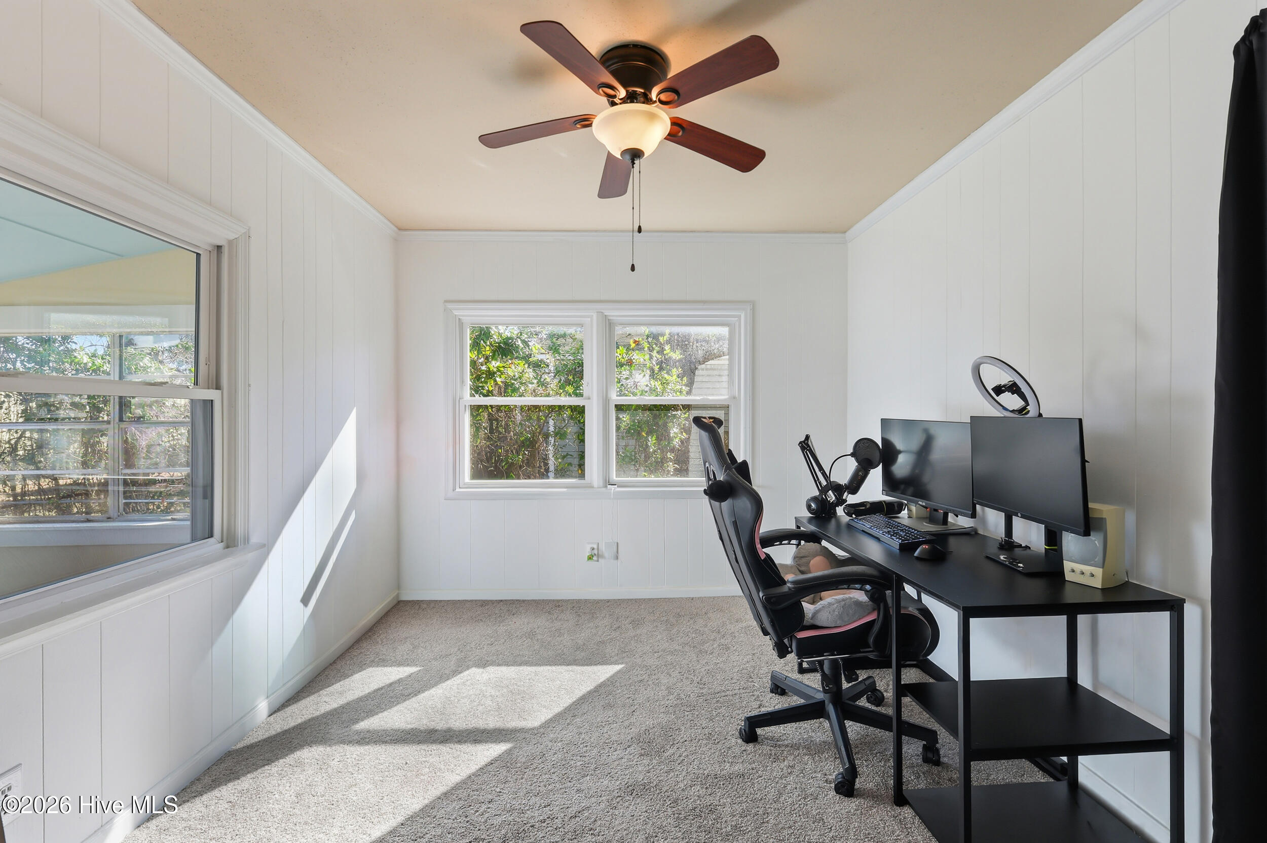 100551685 | Photo 18