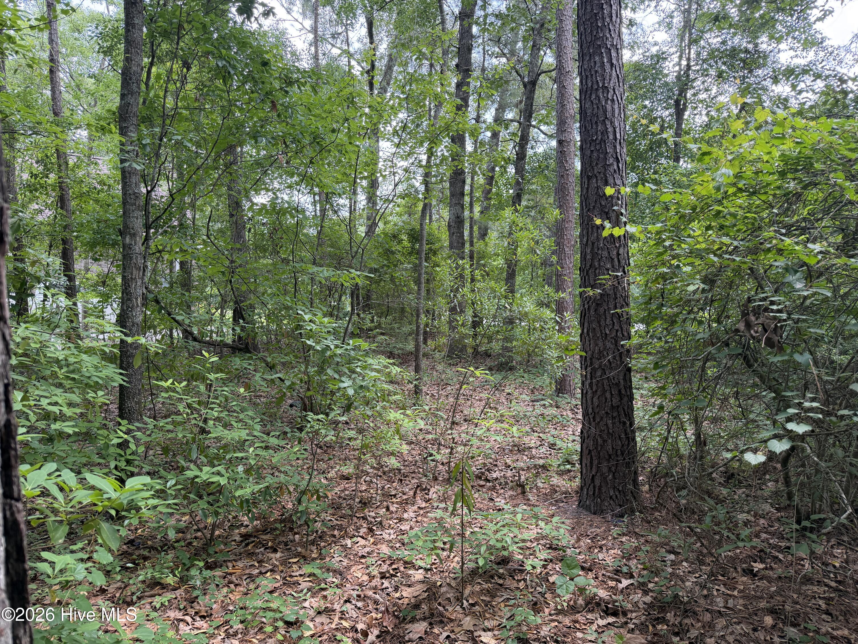 118 66 Ferret Run Lane,New Bern