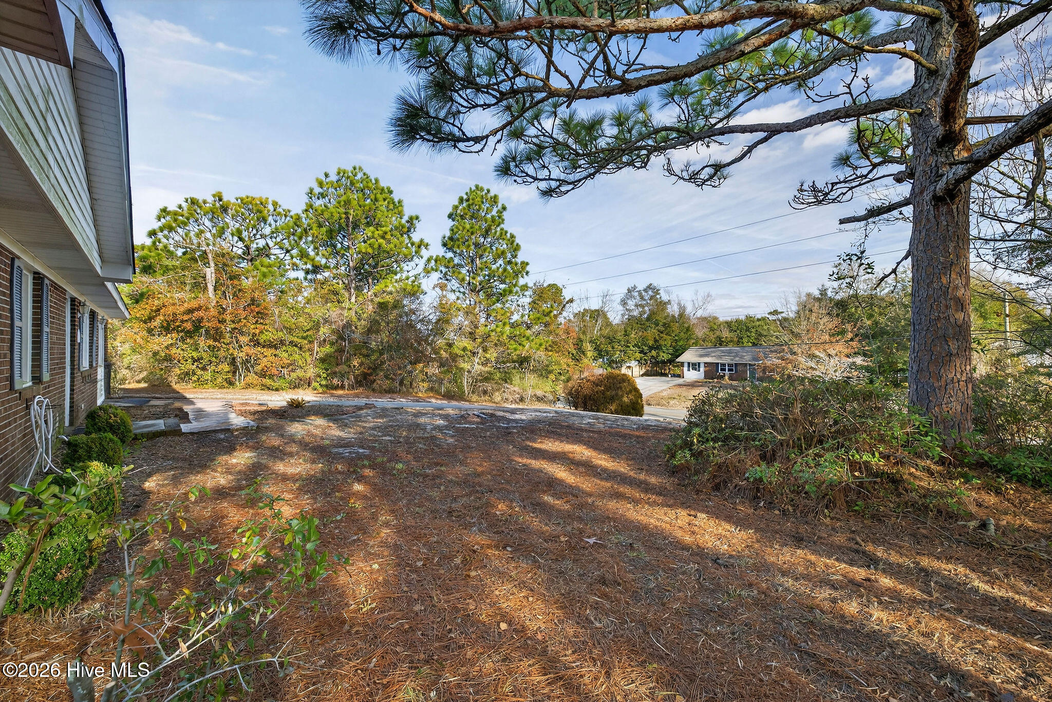 100547847 | Photo 28