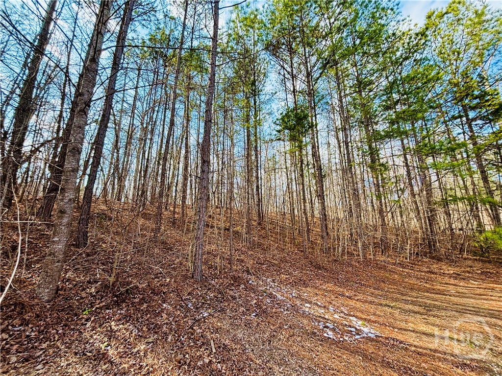 Homes for sale in Watkinsville, GA | 1241 Pembrook Dr, Watkinsville, GA 30677 | MLS# CL347992