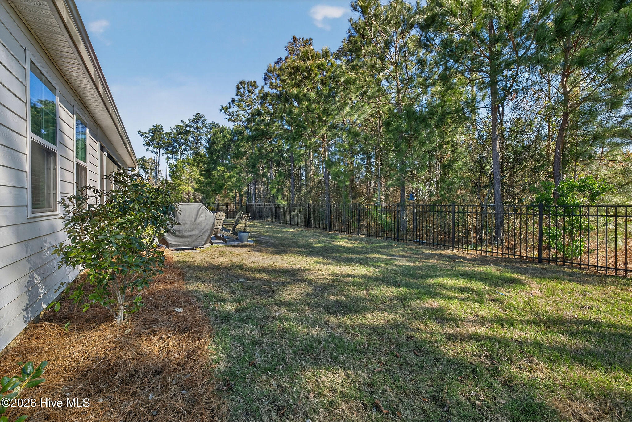 100563457 | Photo 35