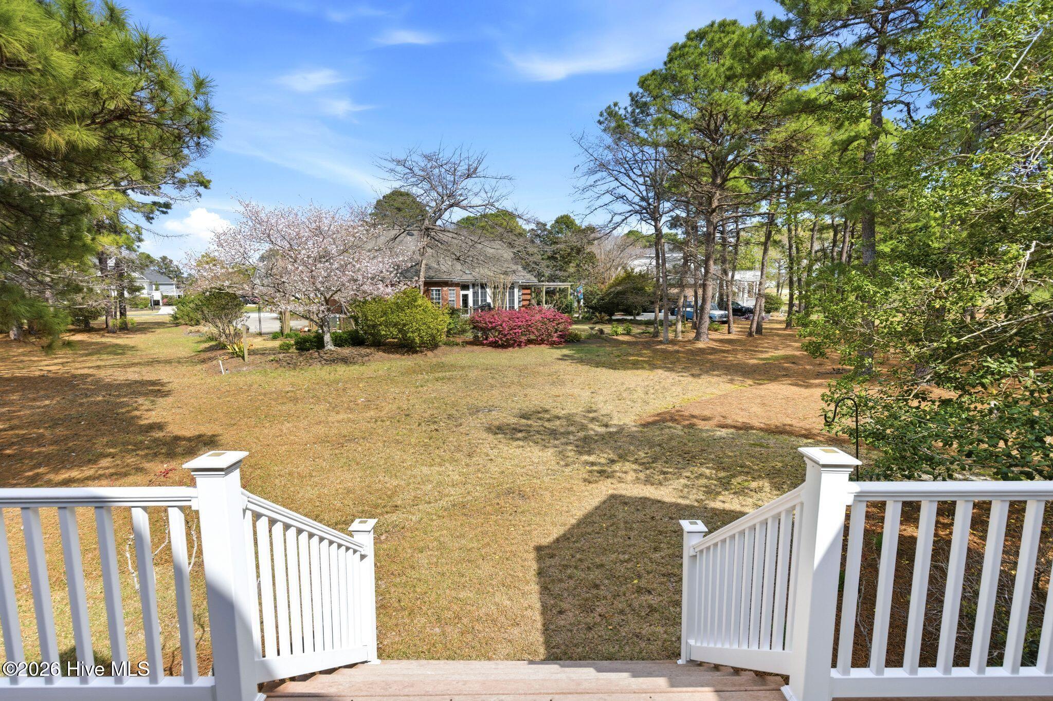 100564231 | Photo 62