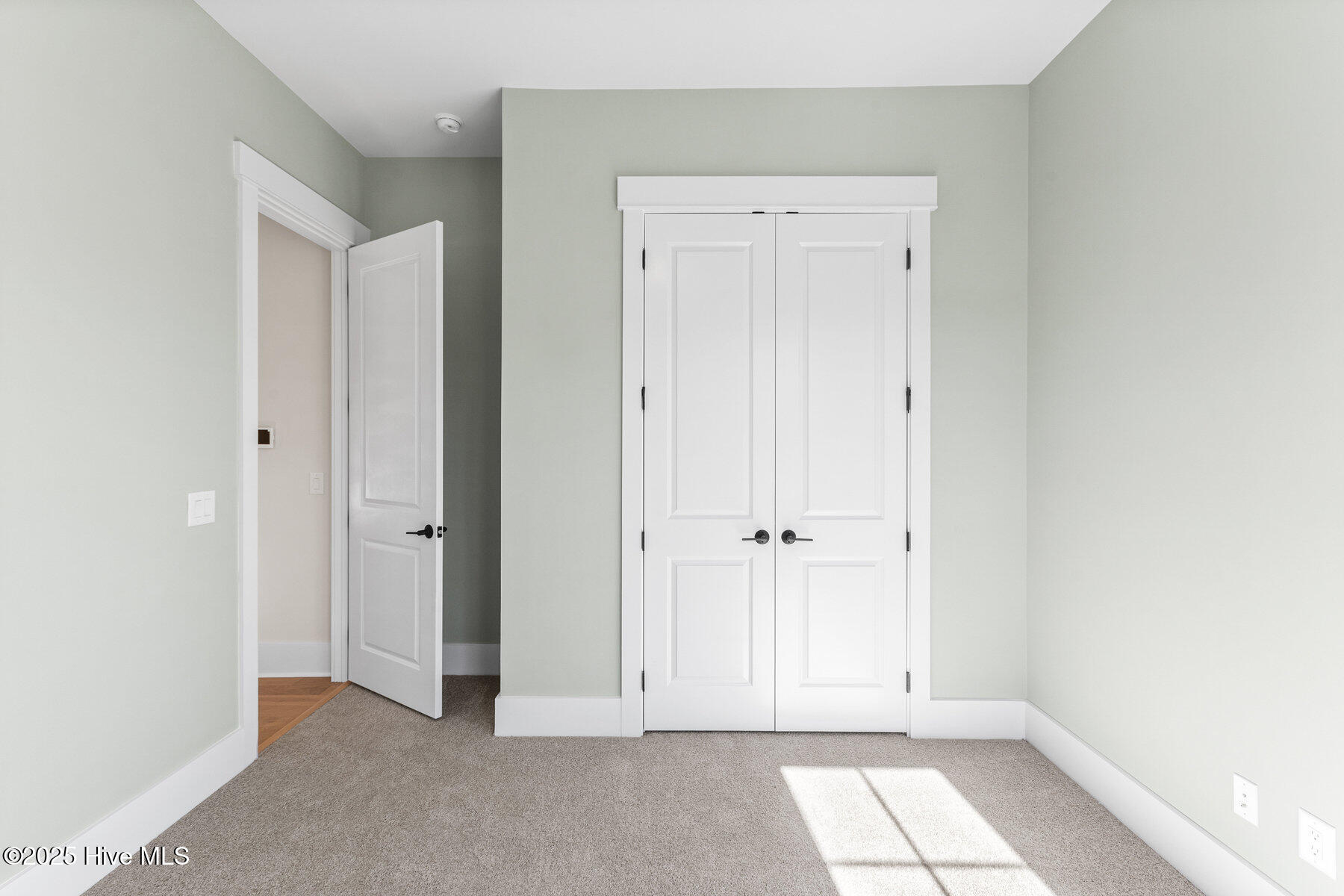 100541579 | Photo 19