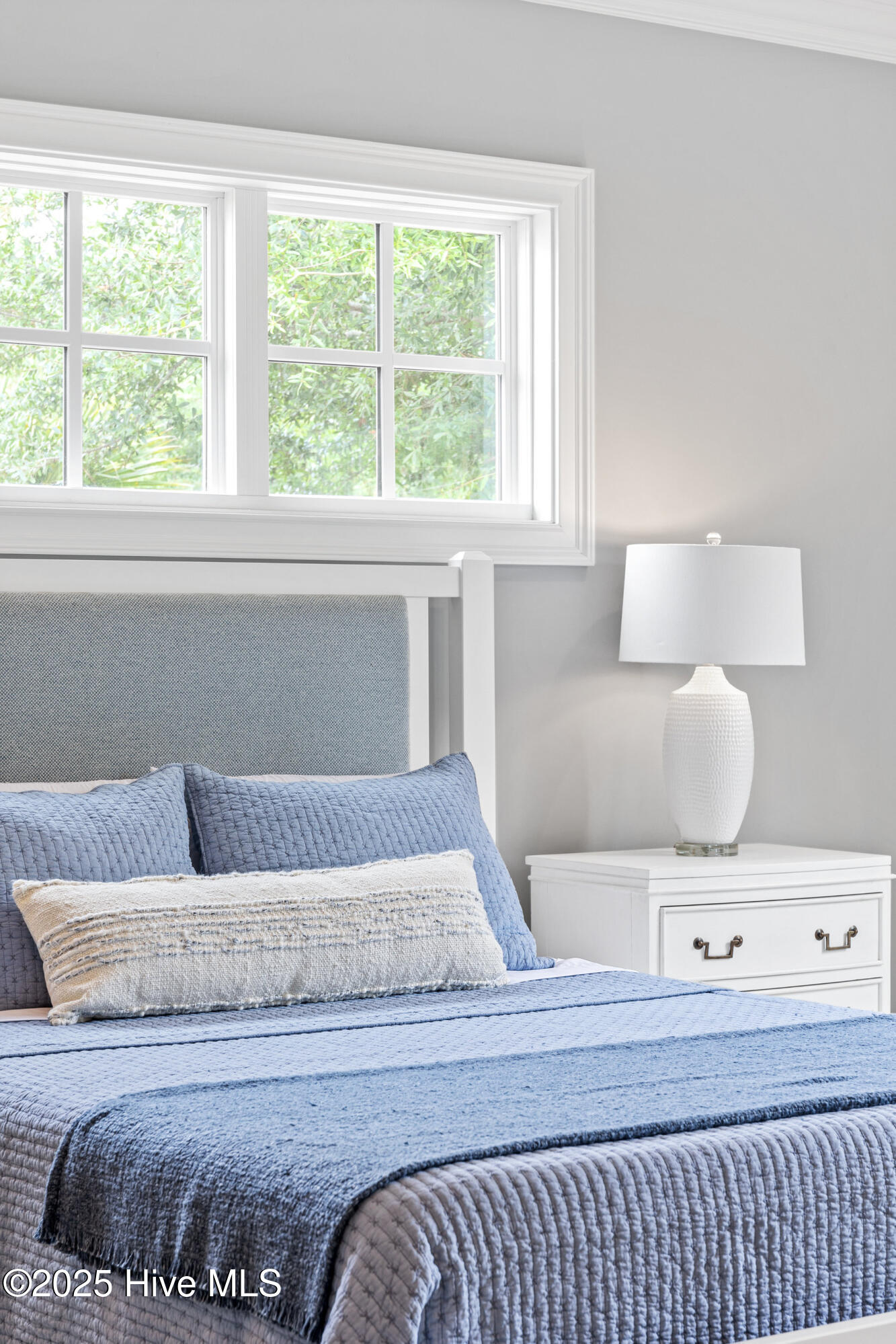 100524924 | Photo 26