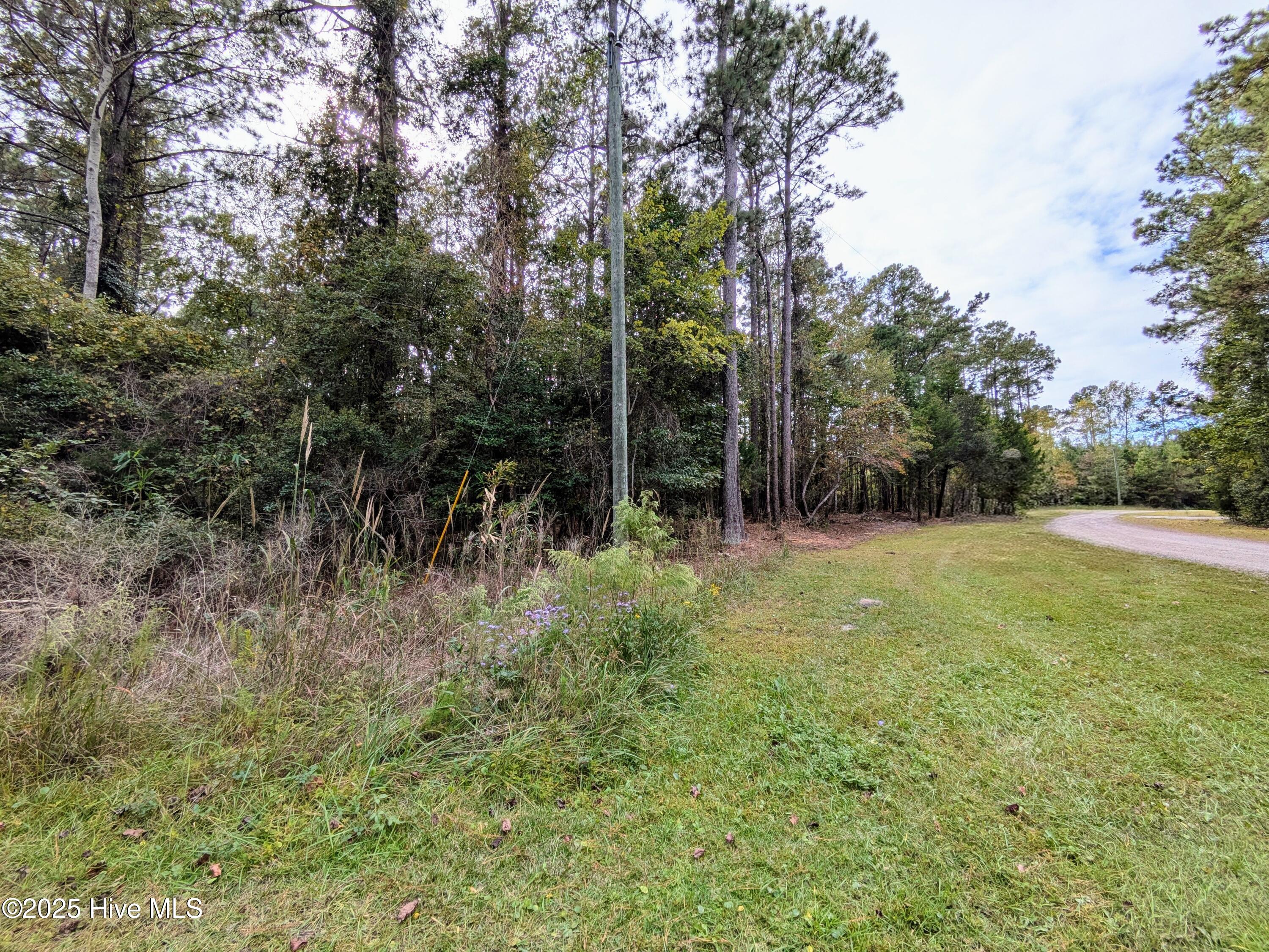 100535245 | Photo 23