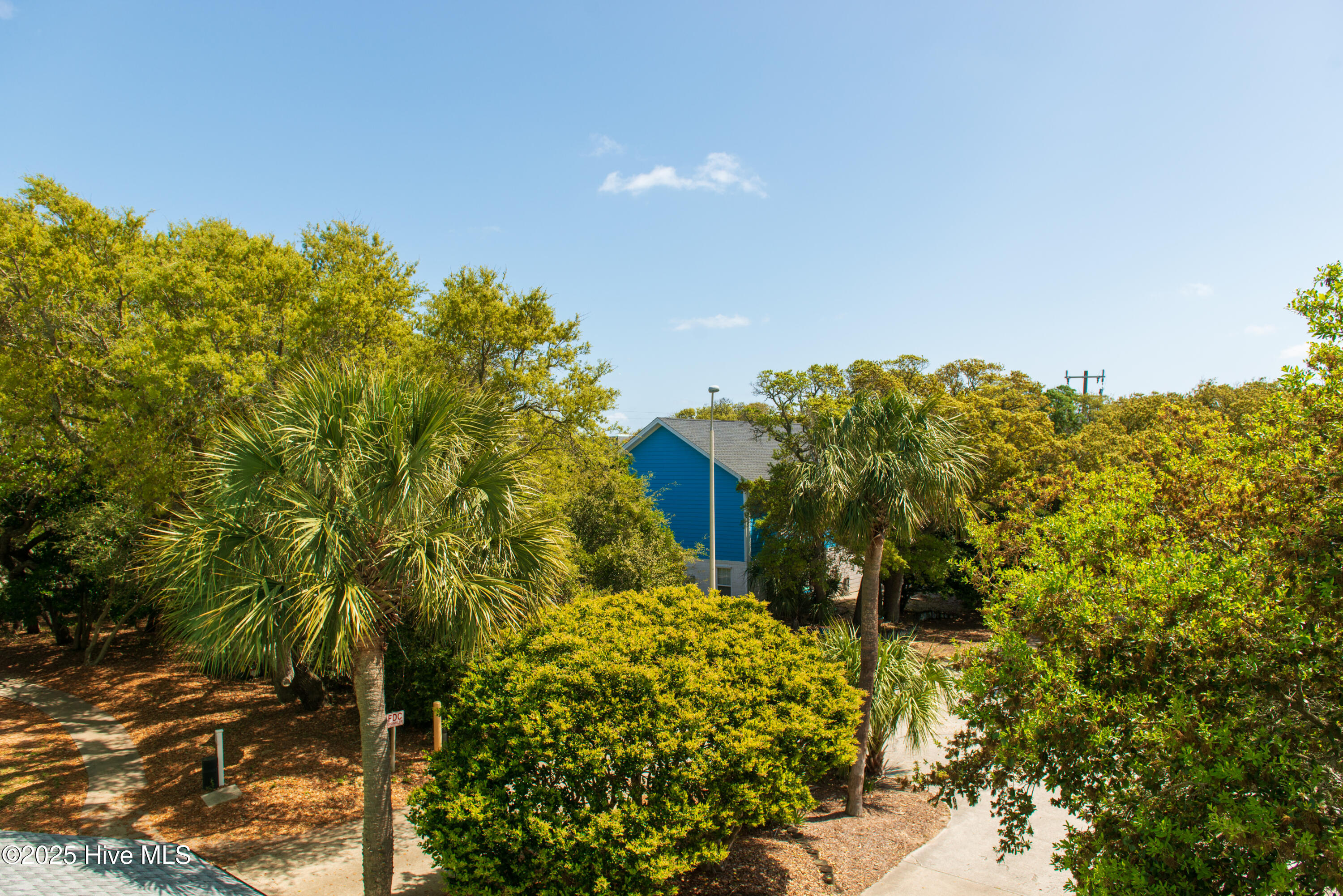 100556360 | Photo 59