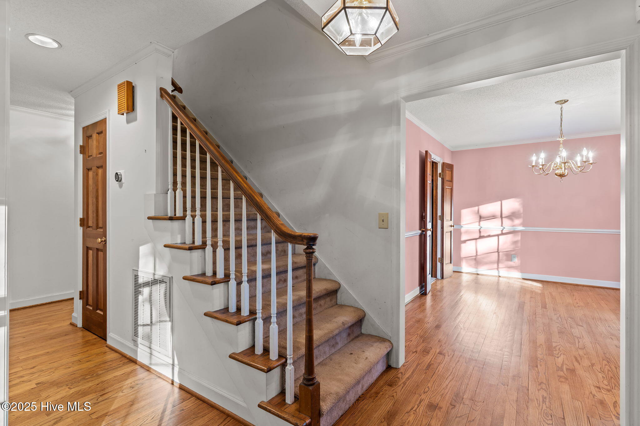 100540294 | Photo 21