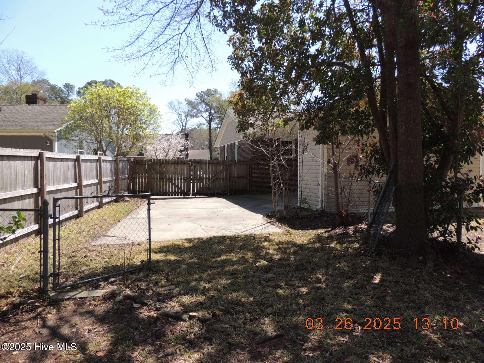 100565654 | Photo 20