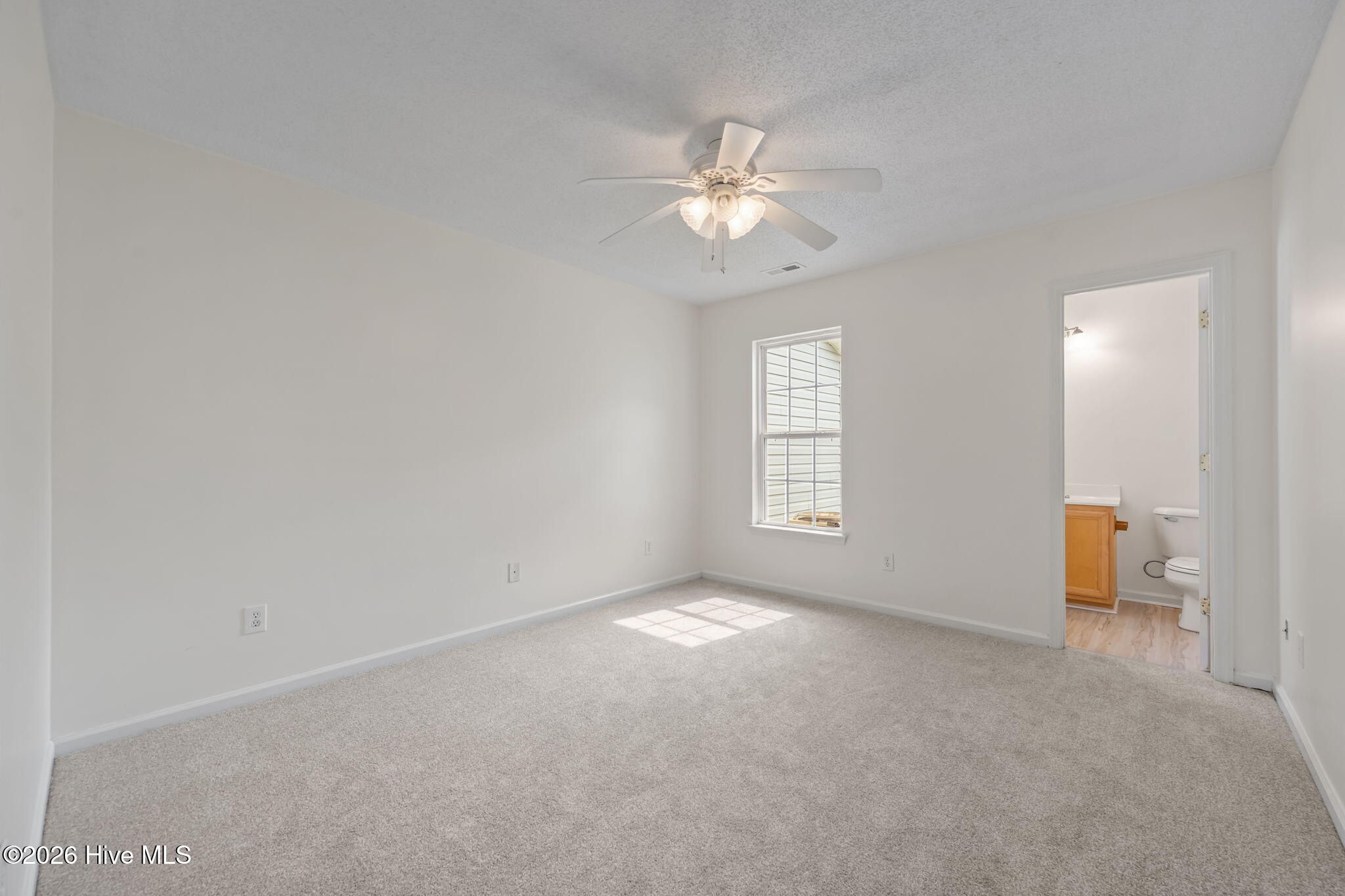 100562645 | Photo 17