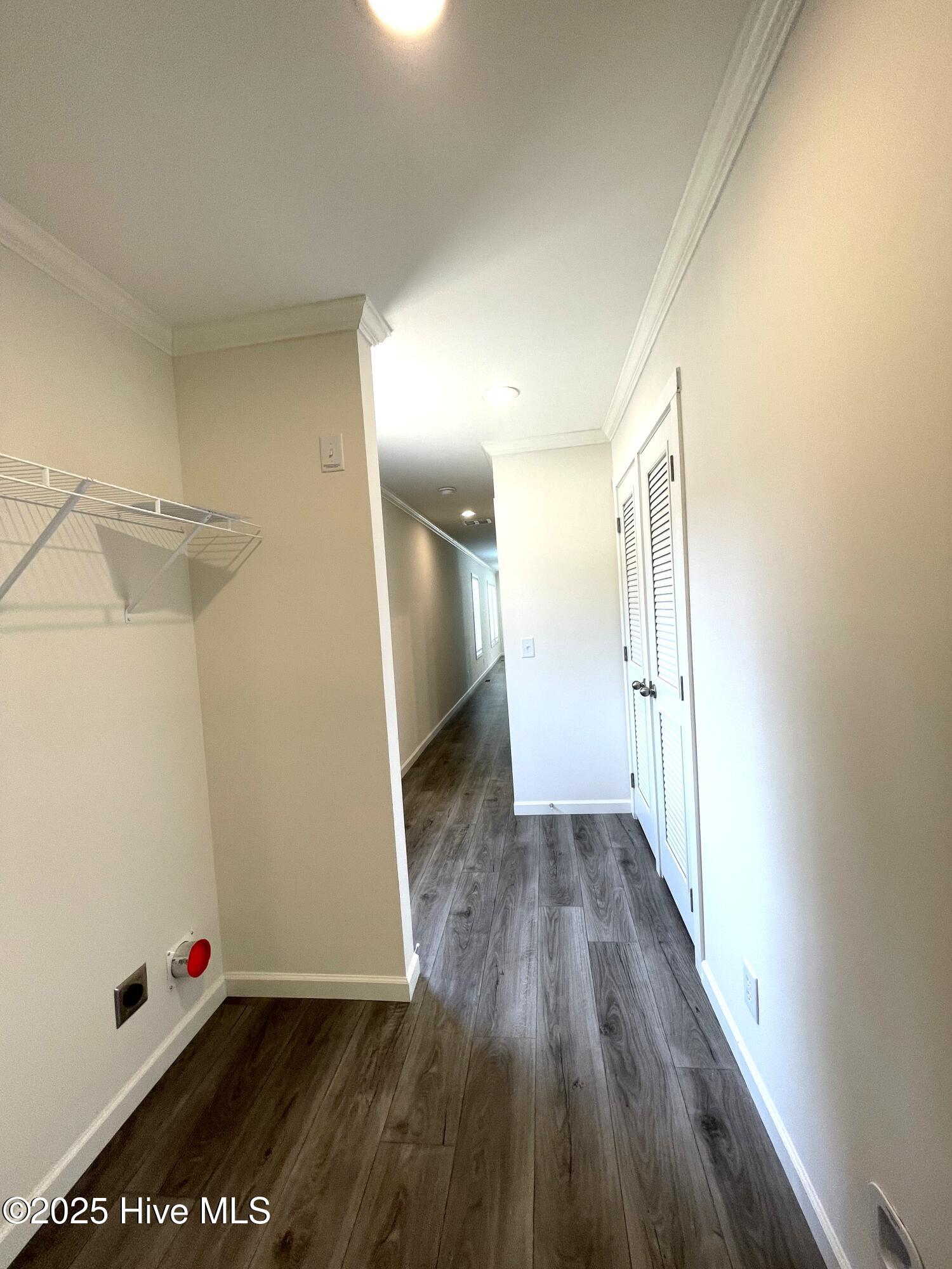 100509336 | Photo 18