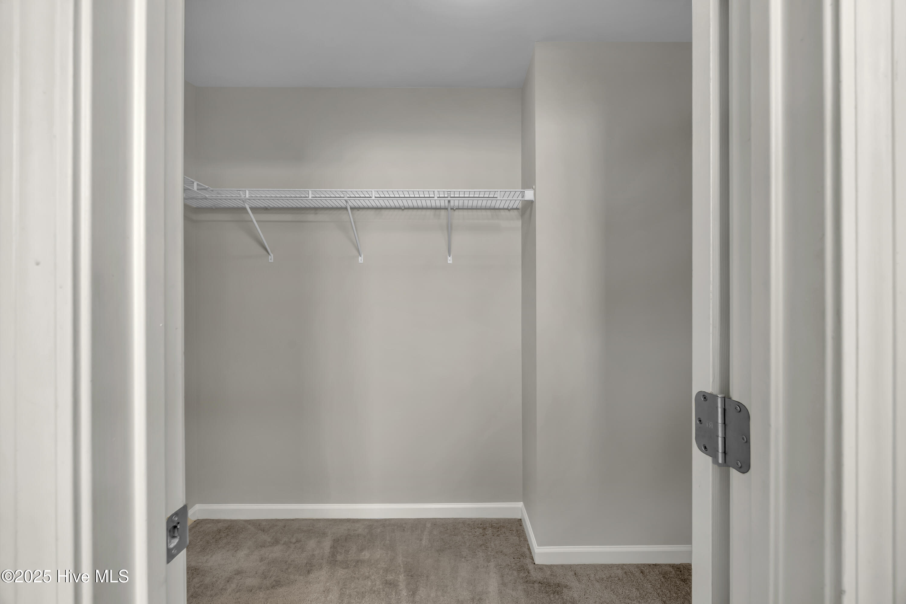 100535100 | Photo 10