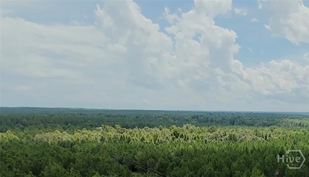 Homes for sale in Midville, GA | 02 Saint Galilee Rd, Midville, GA 30401 | MLS# SA350354