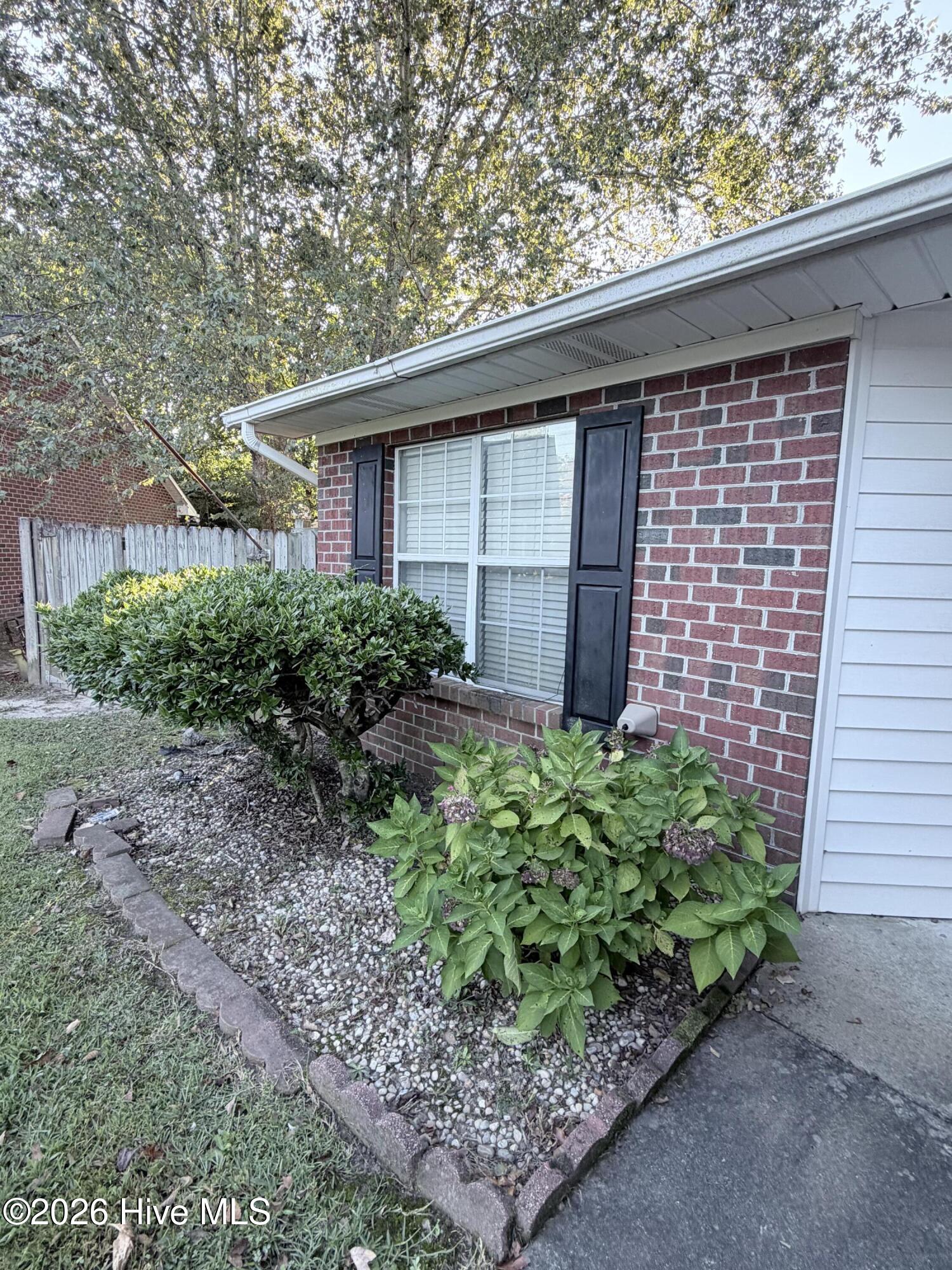 100607524 | Photo 2