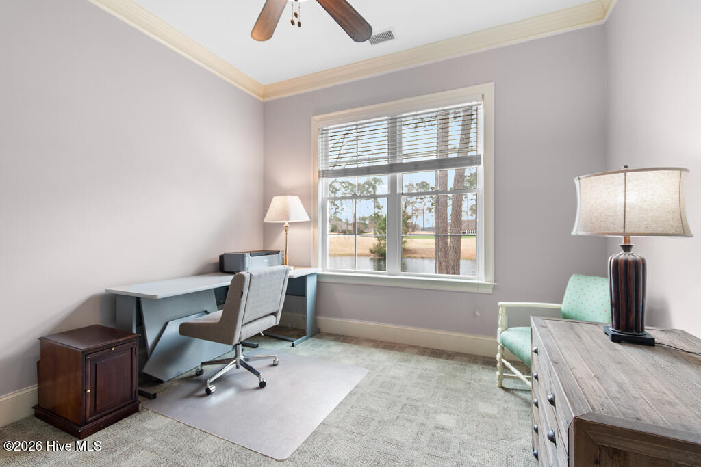 100558482 | Photo 58