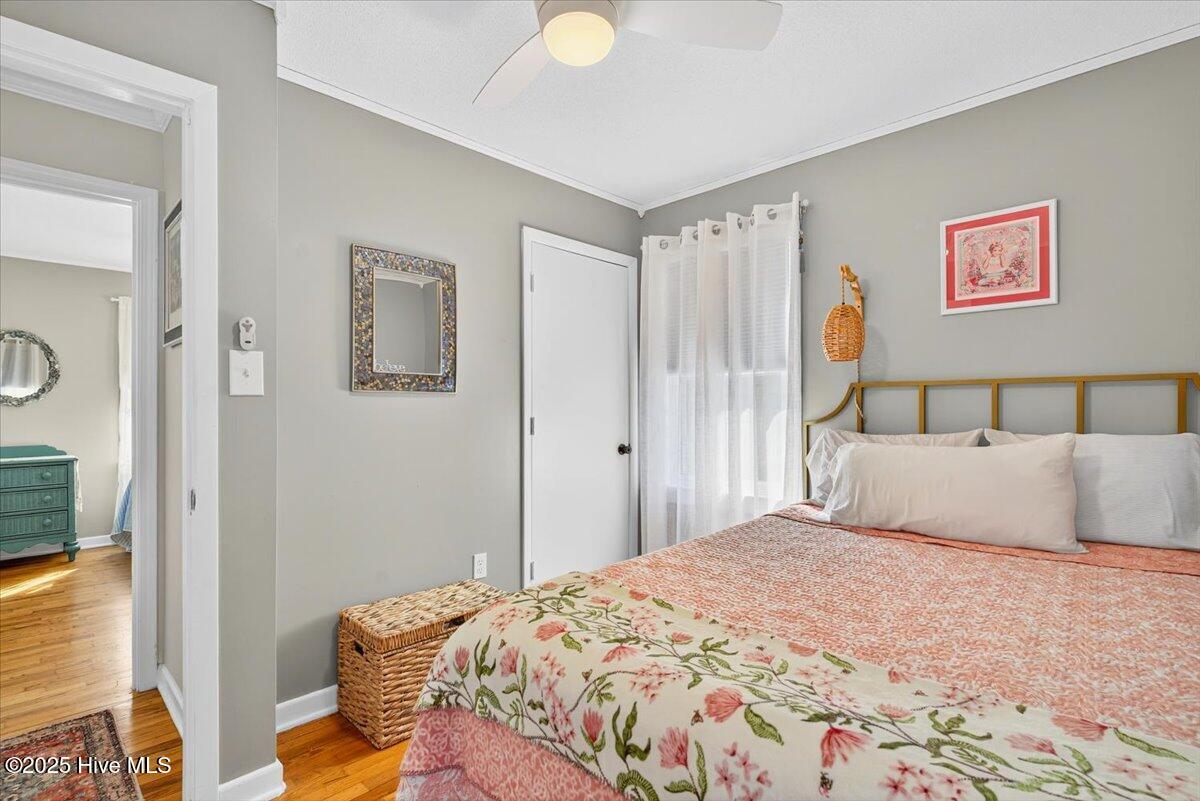 100532606 | Photo 19