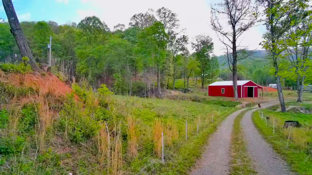 3325 Pack Mountain Road, Murphy, NC 28906 Listing Photo  53