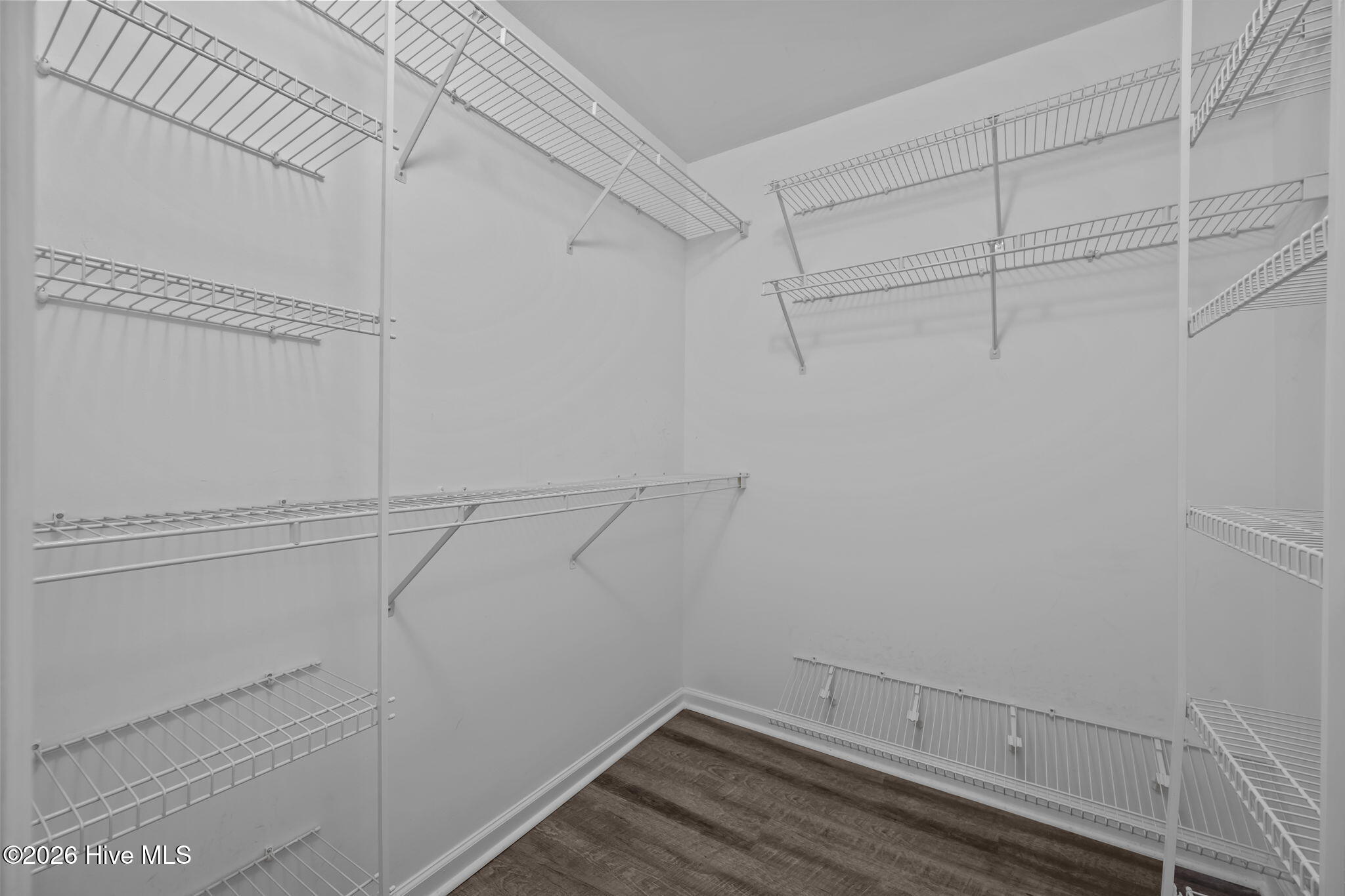 100556265 | Photo 21