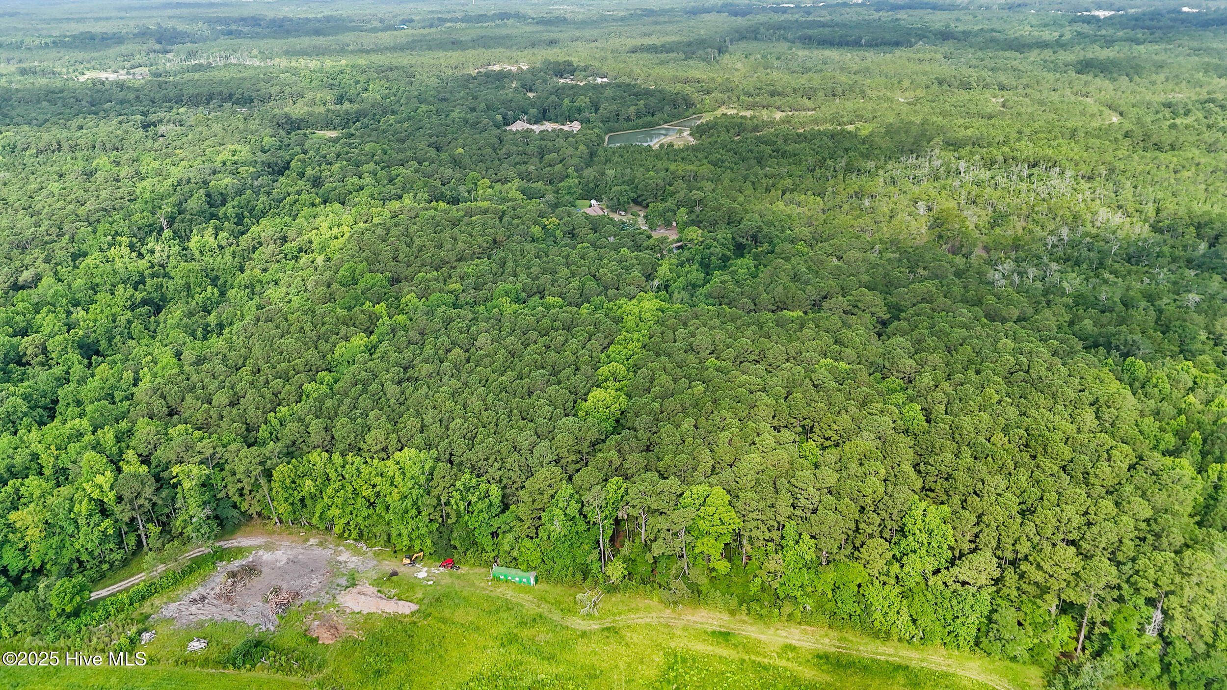 100517619 | Photo 102