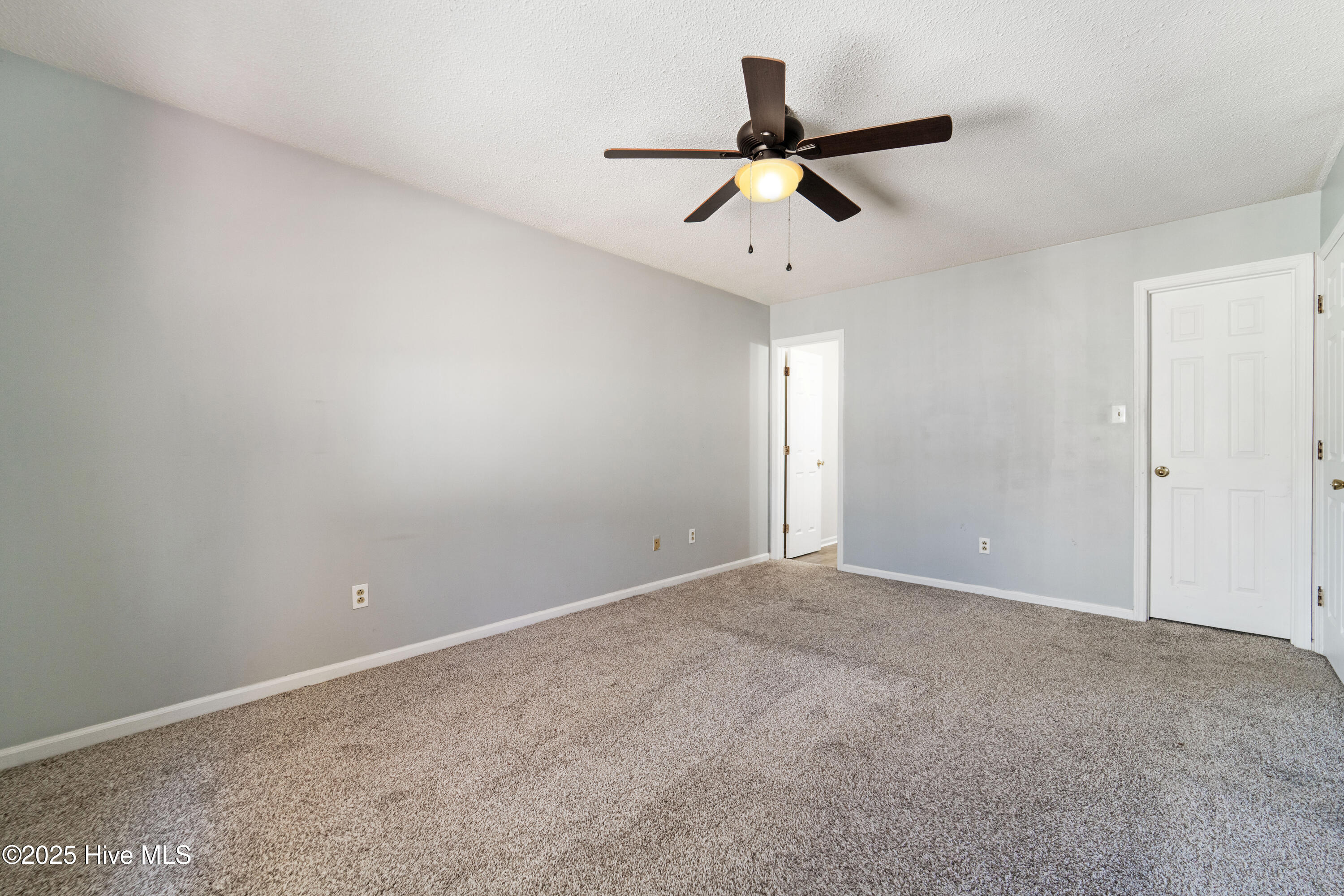 100546102 | Photo 25