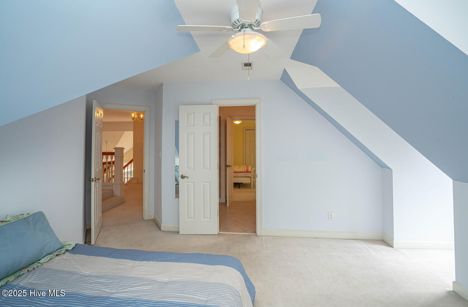 100510807 | Photo 50