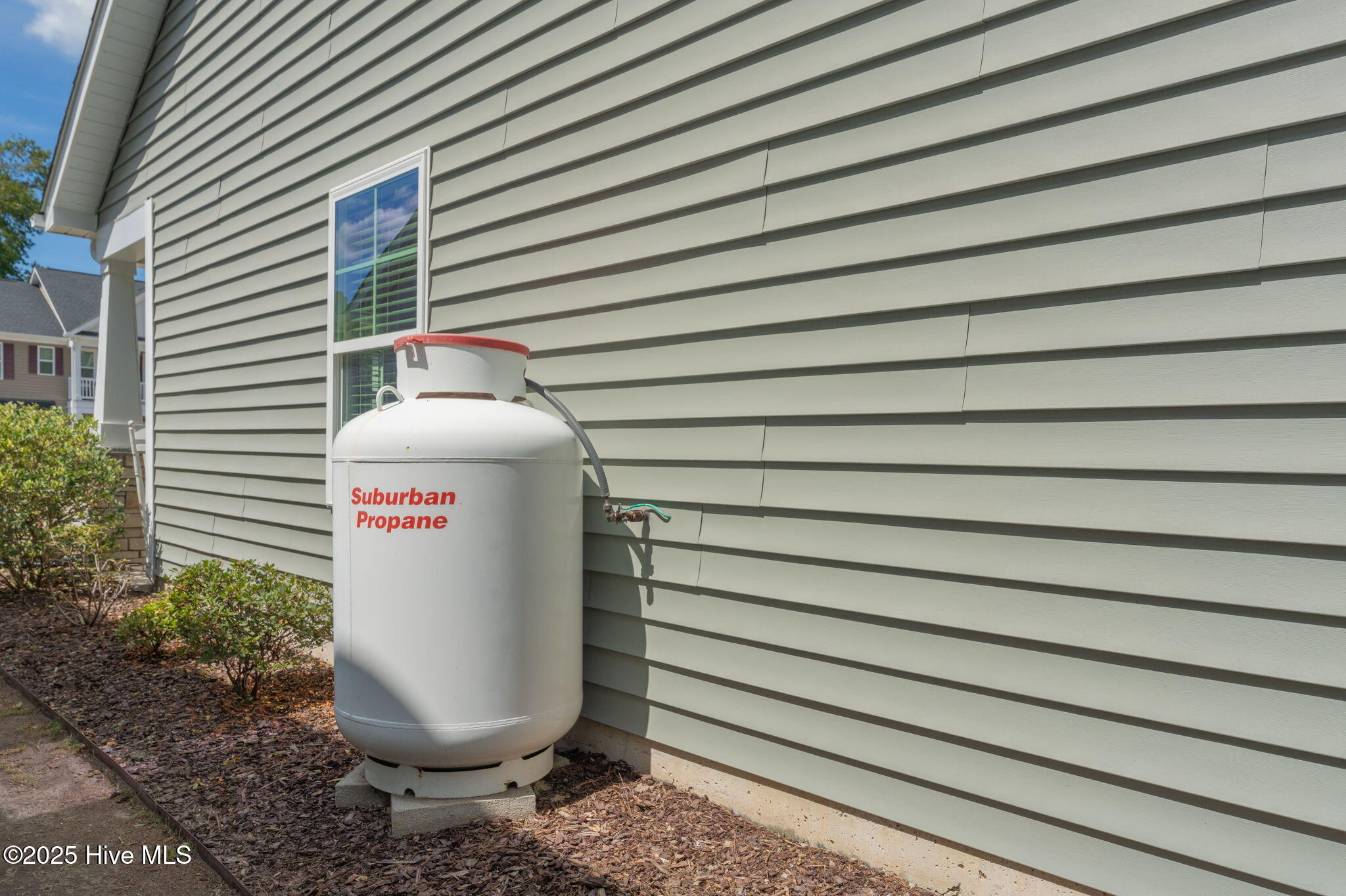 100530499 | Photo 32