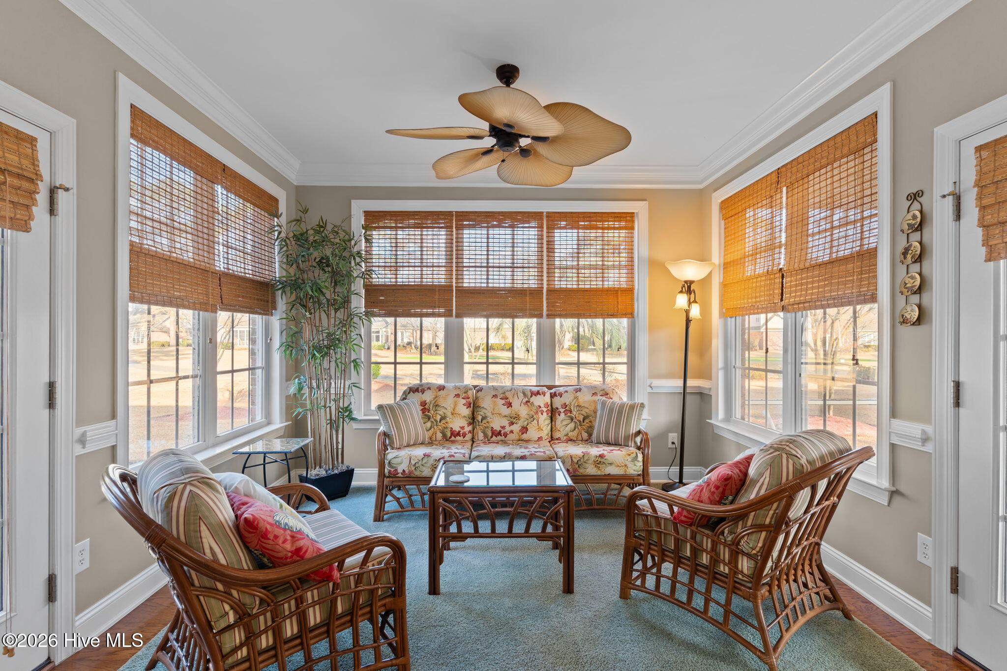 100548977 | Photo 15