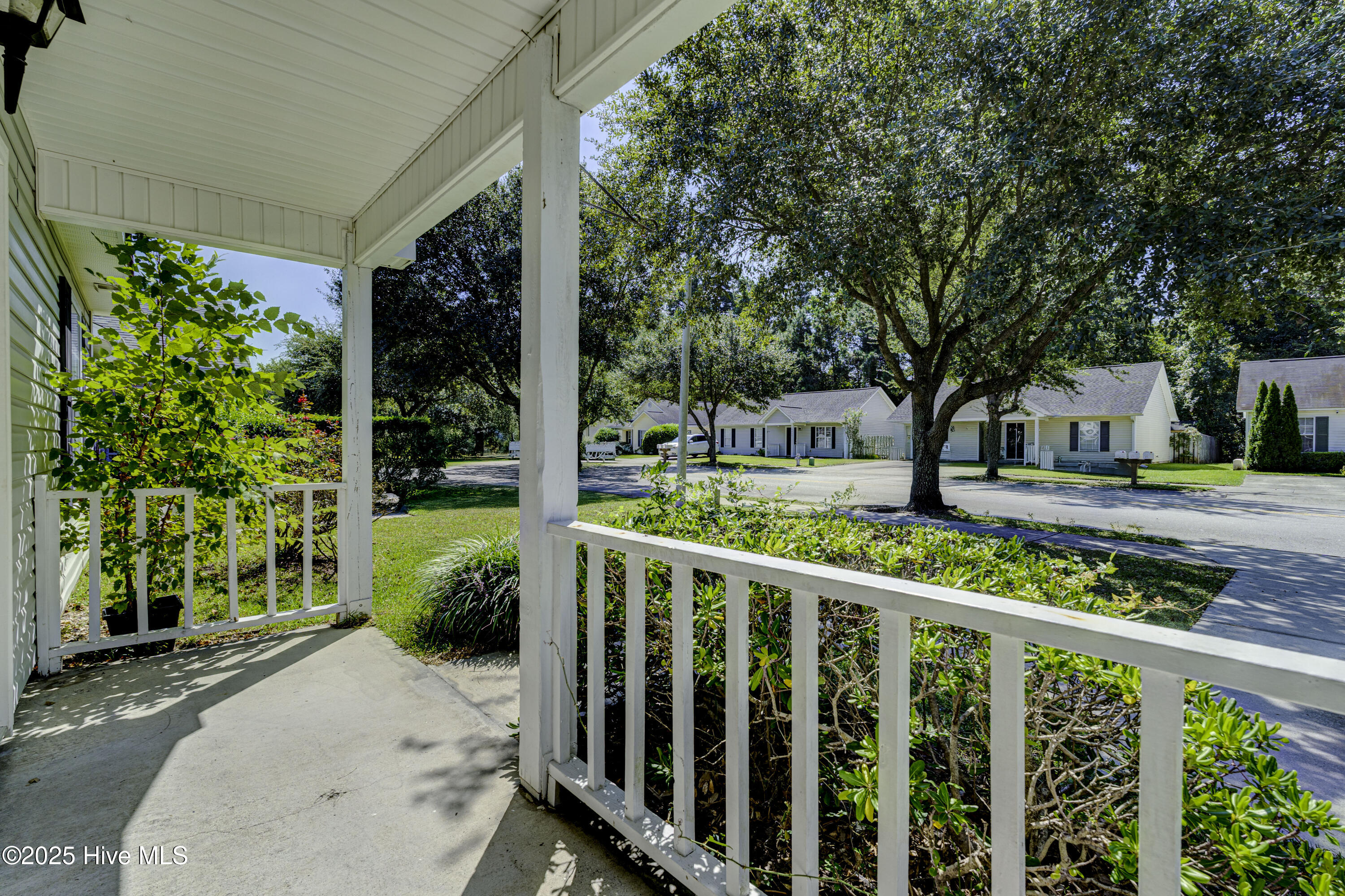 100531286 | Photo 11