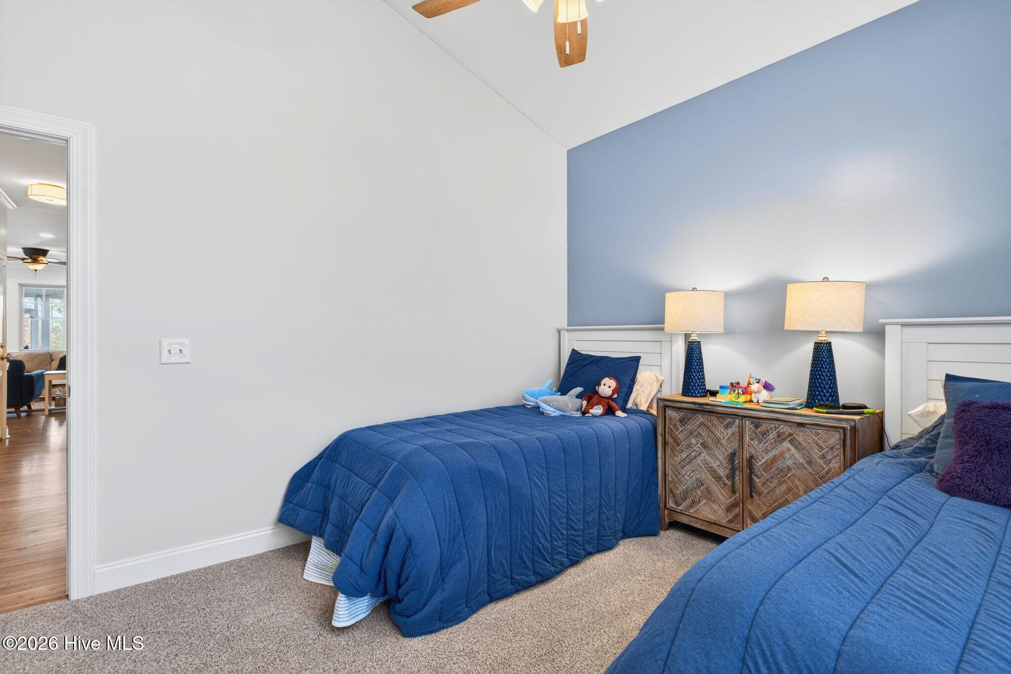 100558158 | Photo 33