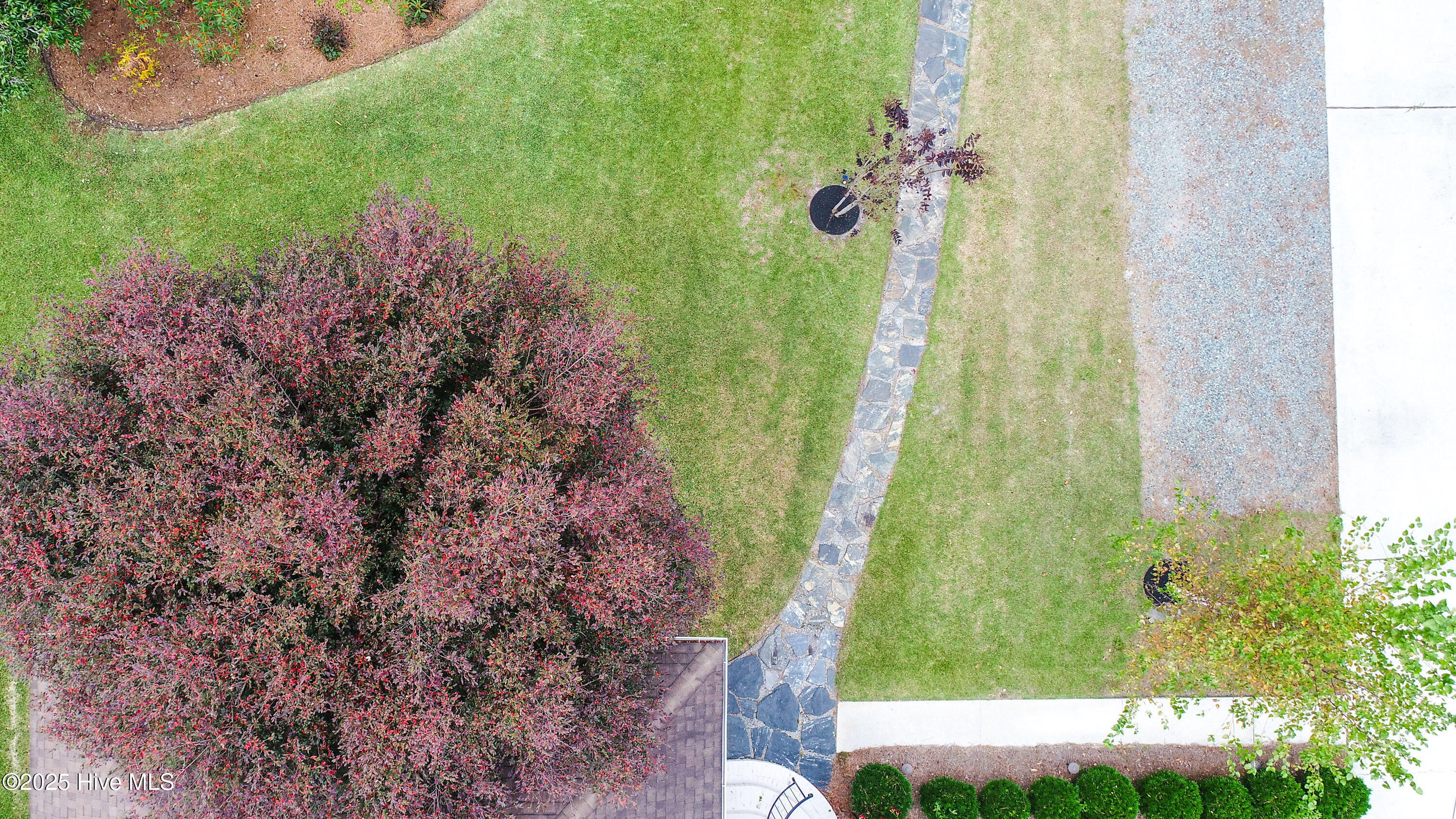 100541025 | Photo 60