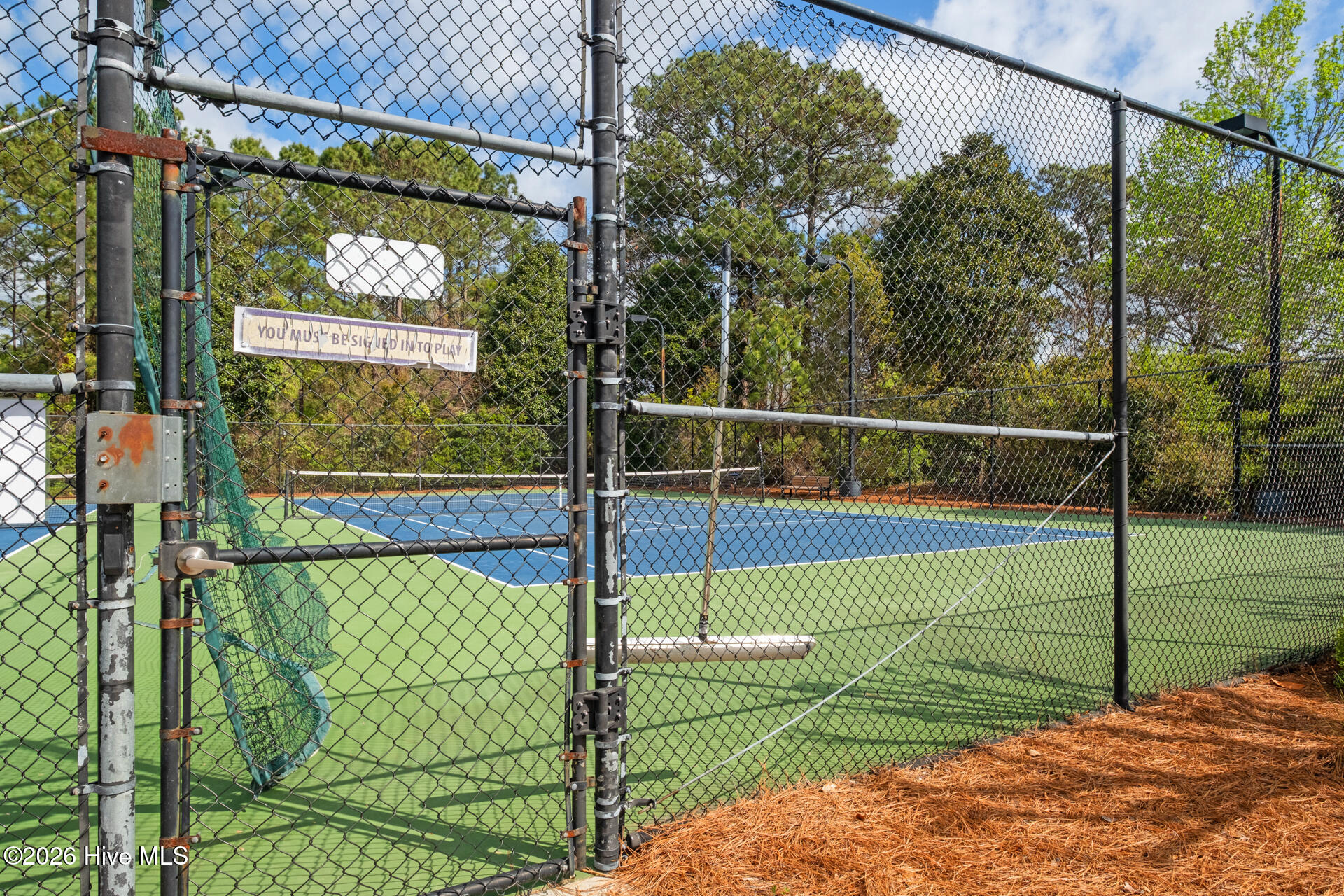 100564524 | Photo 67