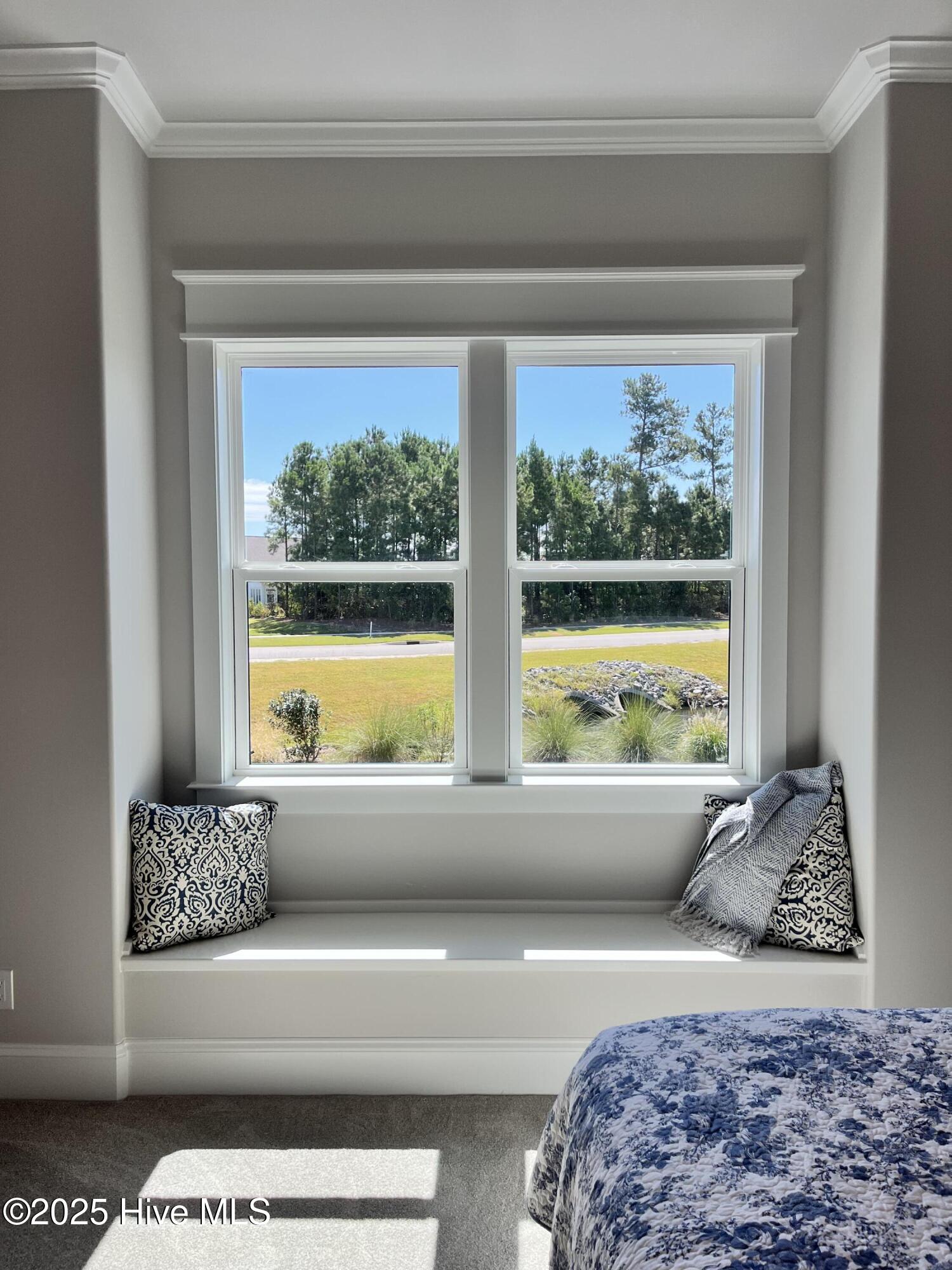 100478560 | Photo 38