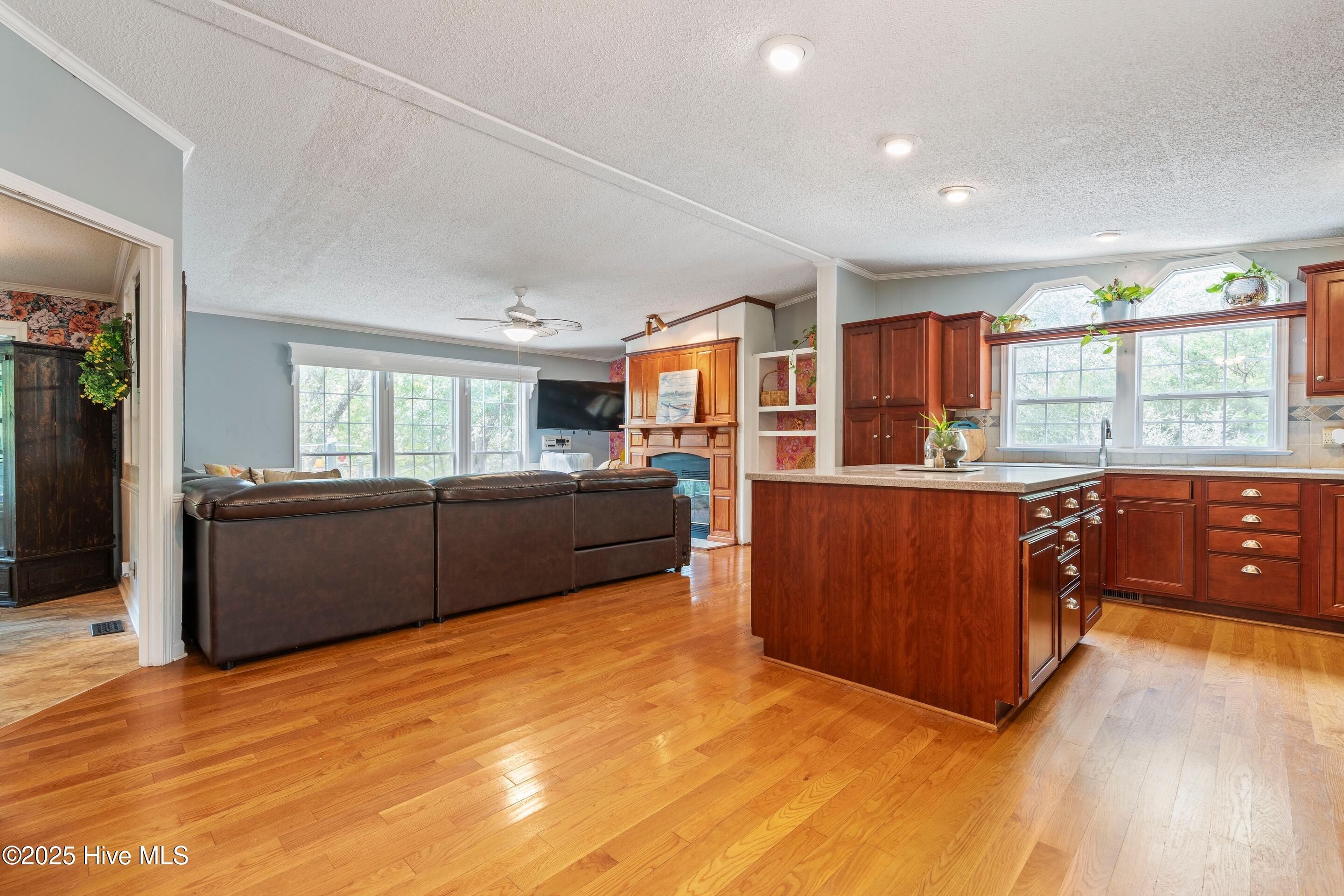 100535667 | Photo 15