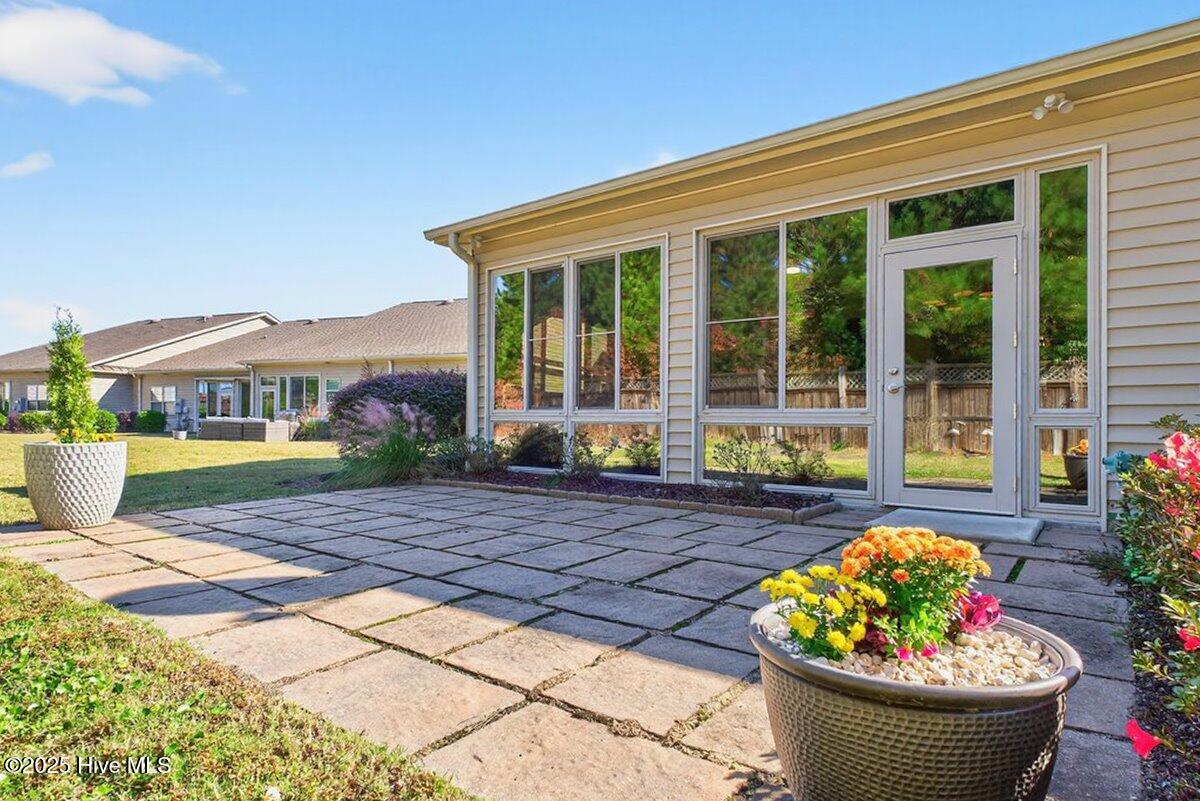 100541263 | Photo 47