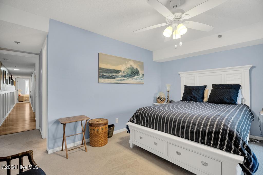 100556317 | Photo 14