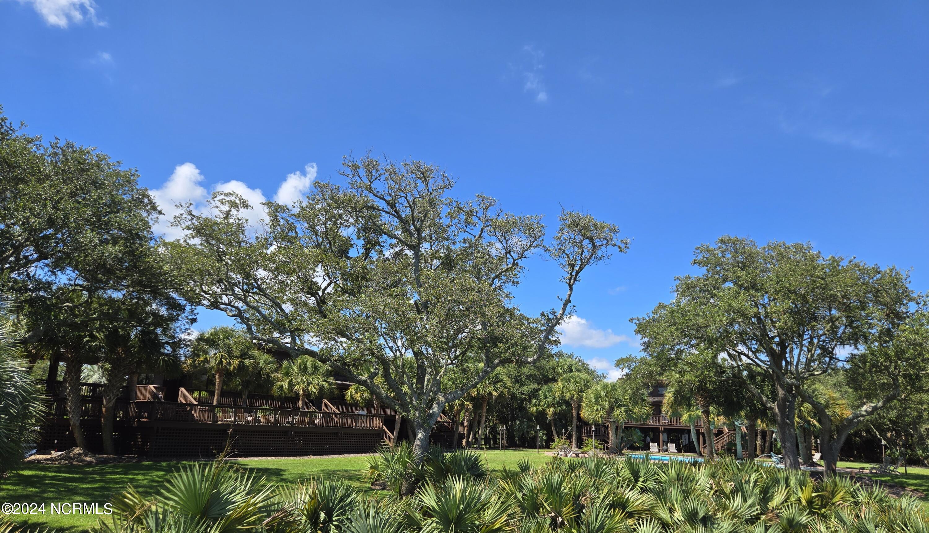 100463801 | Photo 18