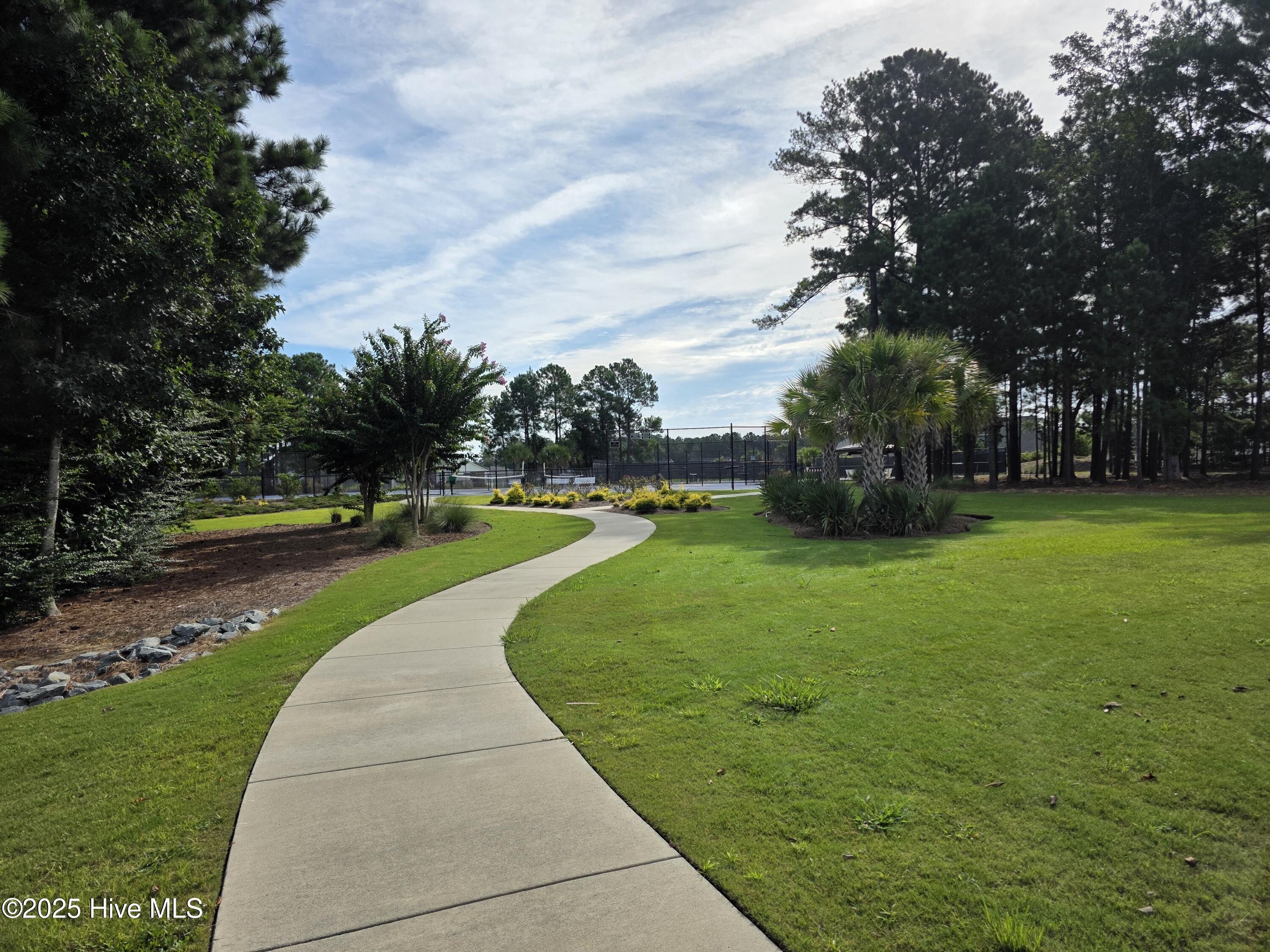 100527504 | Photo 49