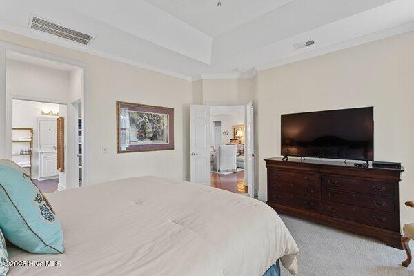 100534265 | Photo 19