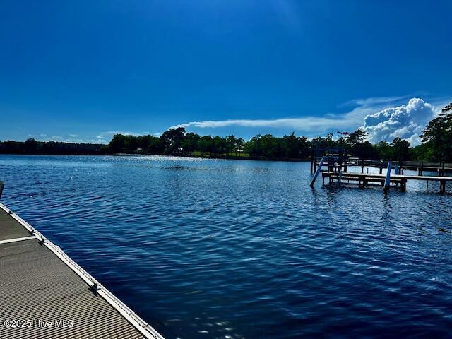 100516036 | Photo 21